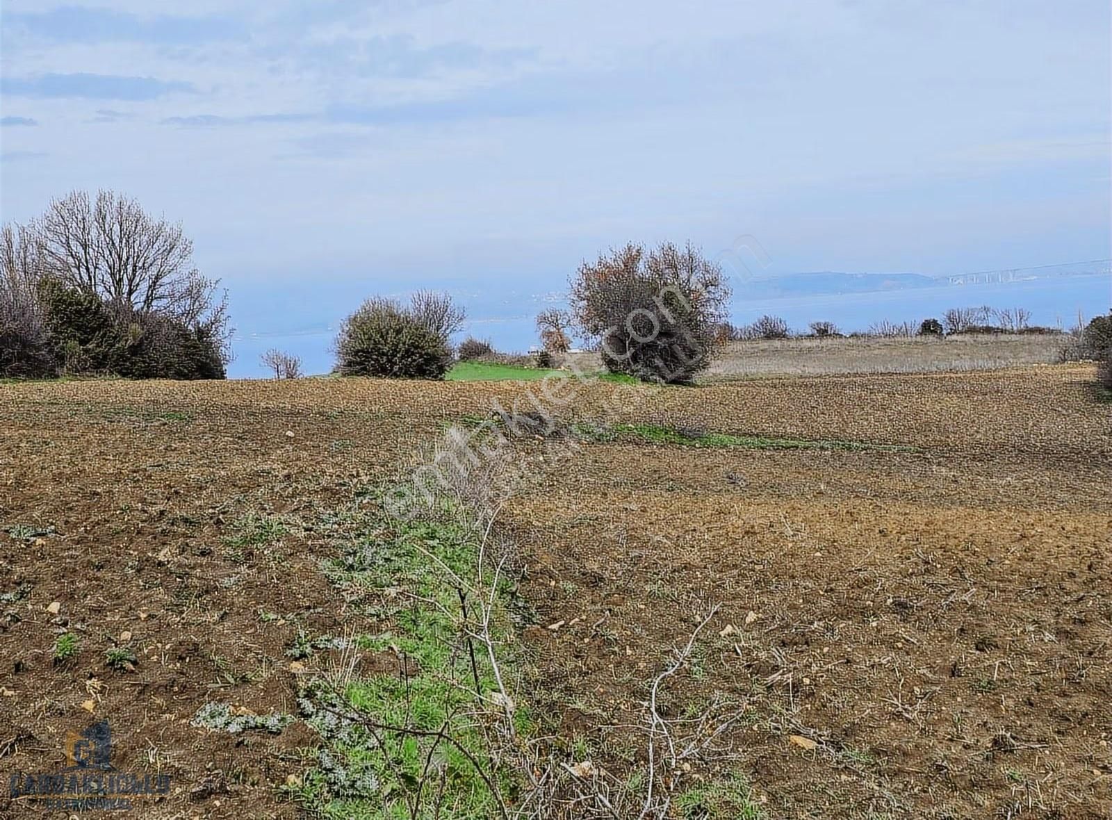 Çanakkale Lapseki Suluca Koyunde Satılık Harıka Konumda Arsa - Görsel 12