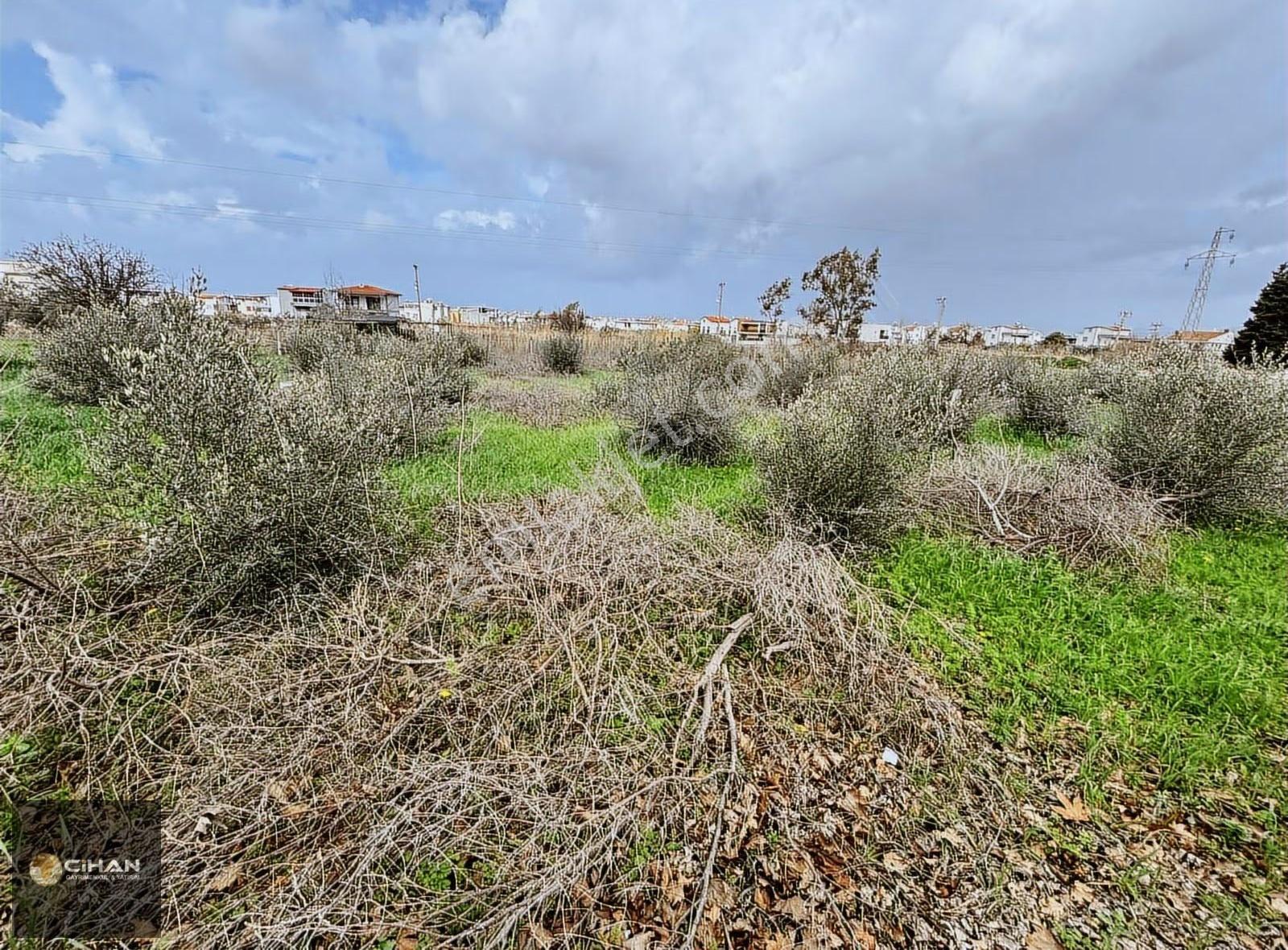 Güzelçamlı Ana Yola Sıfır Ticari İmarlı Arsa - Görsel 3