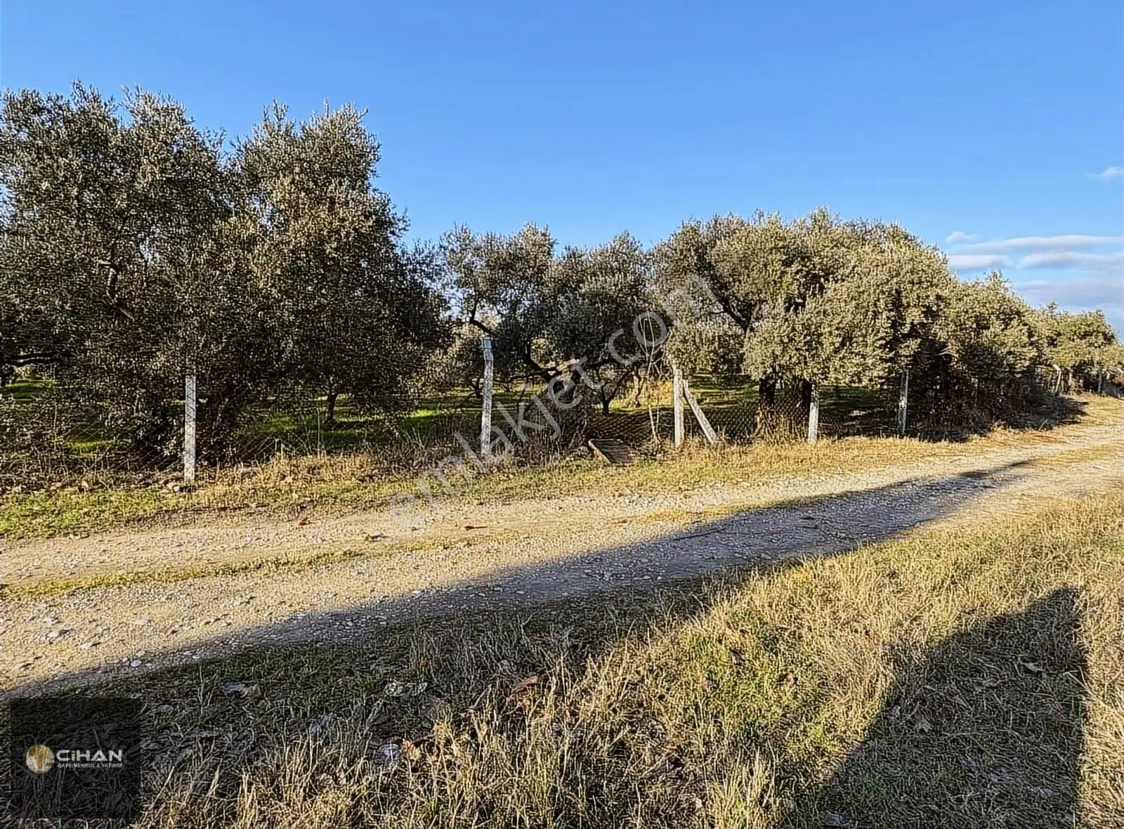 Kuşadası Davutlar Merkez İki Villalık Arsa