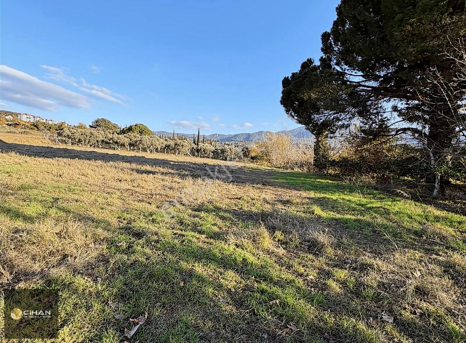 Kuşadası Davutlar Merkez İki Villalık Arsa - Görsel 2