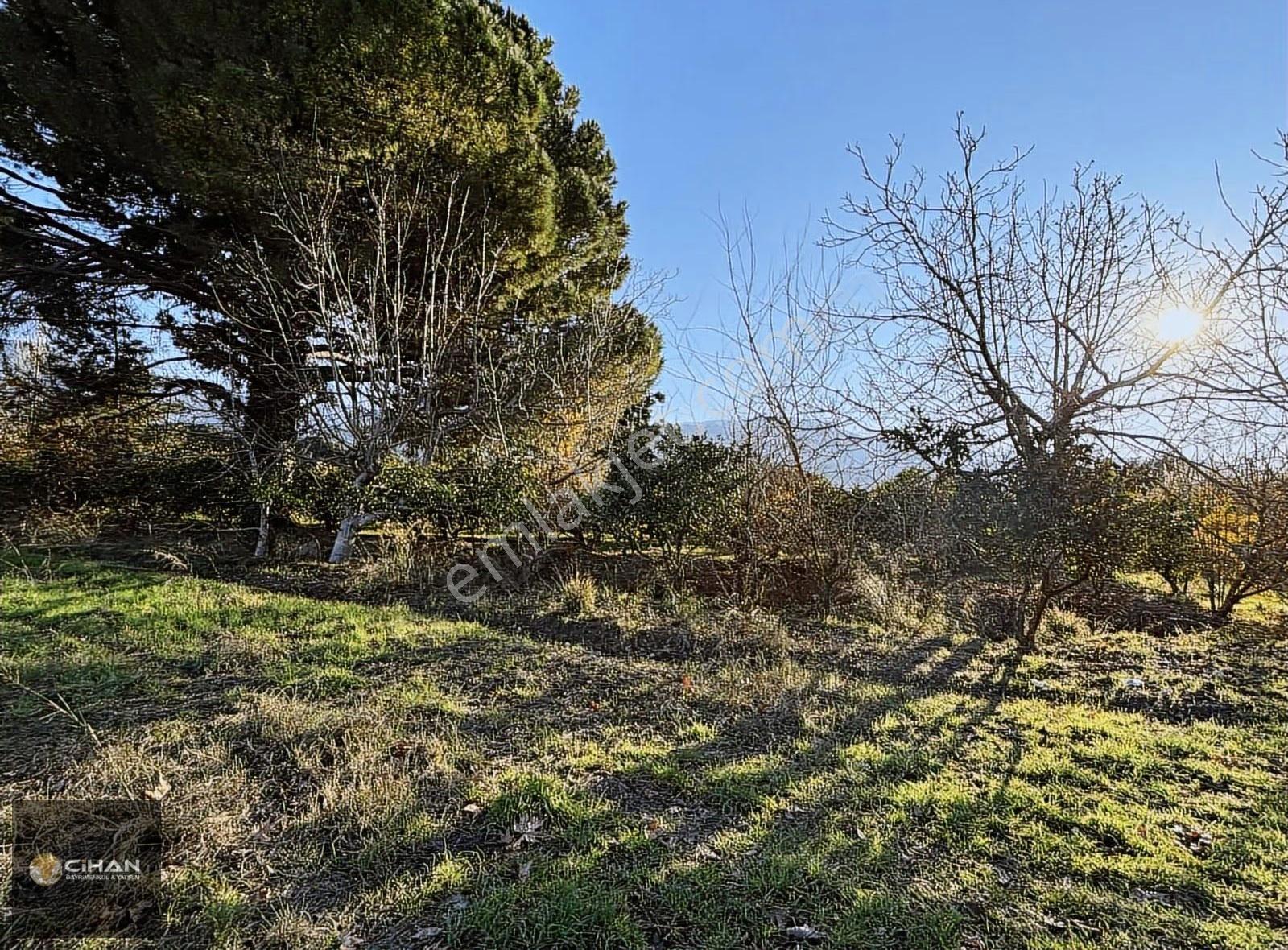 Kuşadası Davutlar Merkez İki Villalık Arsa - Görsel 6