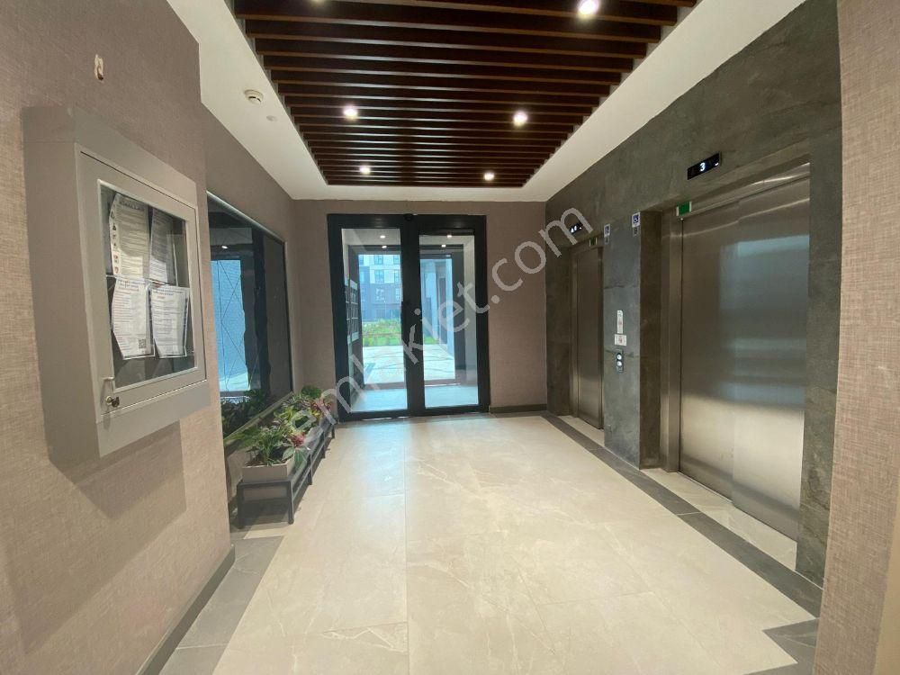 C21 Bal 'dan Emlak Konutta Kiralık 2+1 Ara Kat Daire - Görsel 3