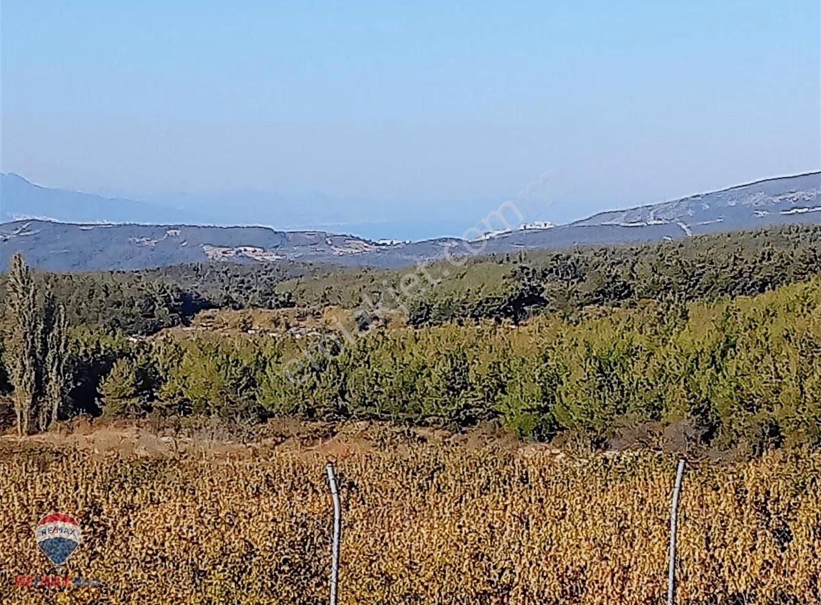 30 Bonova Yaka Köy'de Satılık Meyve Bahçeli Tarla