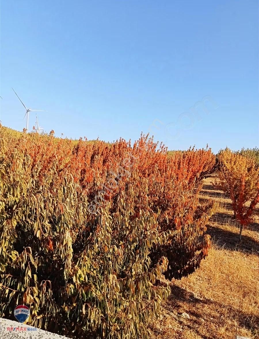 30 Bonova Yaka Köy'de Satılık Meyve Bahçeli Tarla - Görsel 18