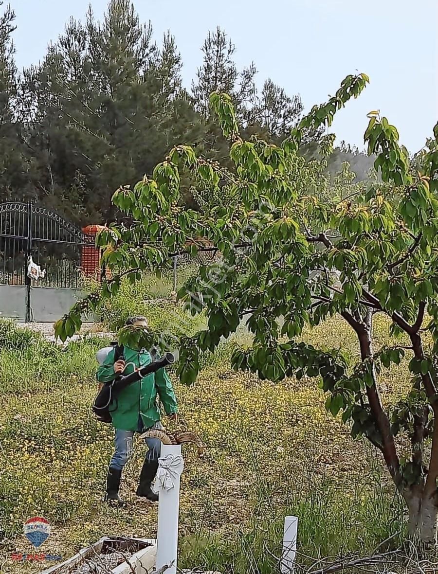 30 Bonova Yaka Köy'de Satılık Meyve Bahçeli Tarla - Görsel 12