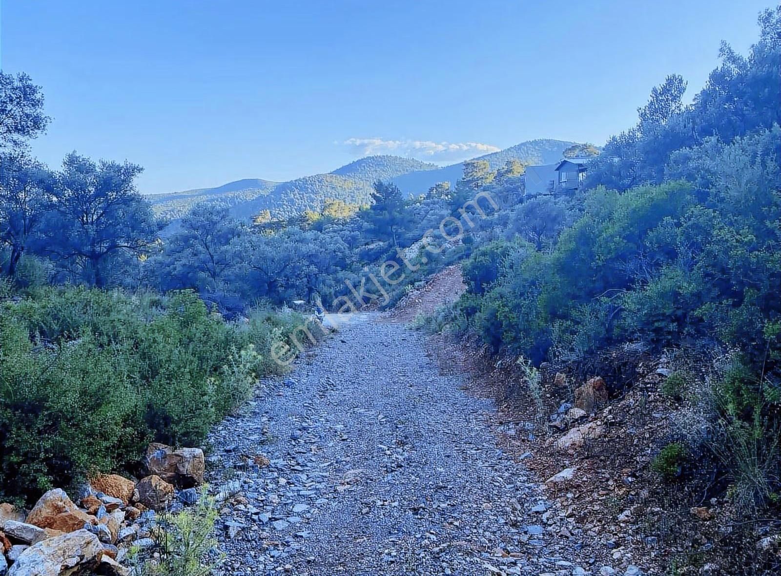 Bodrum Kızılağaç'ta Müstakil Deniz Manzaralı Tarla - Görsel 3