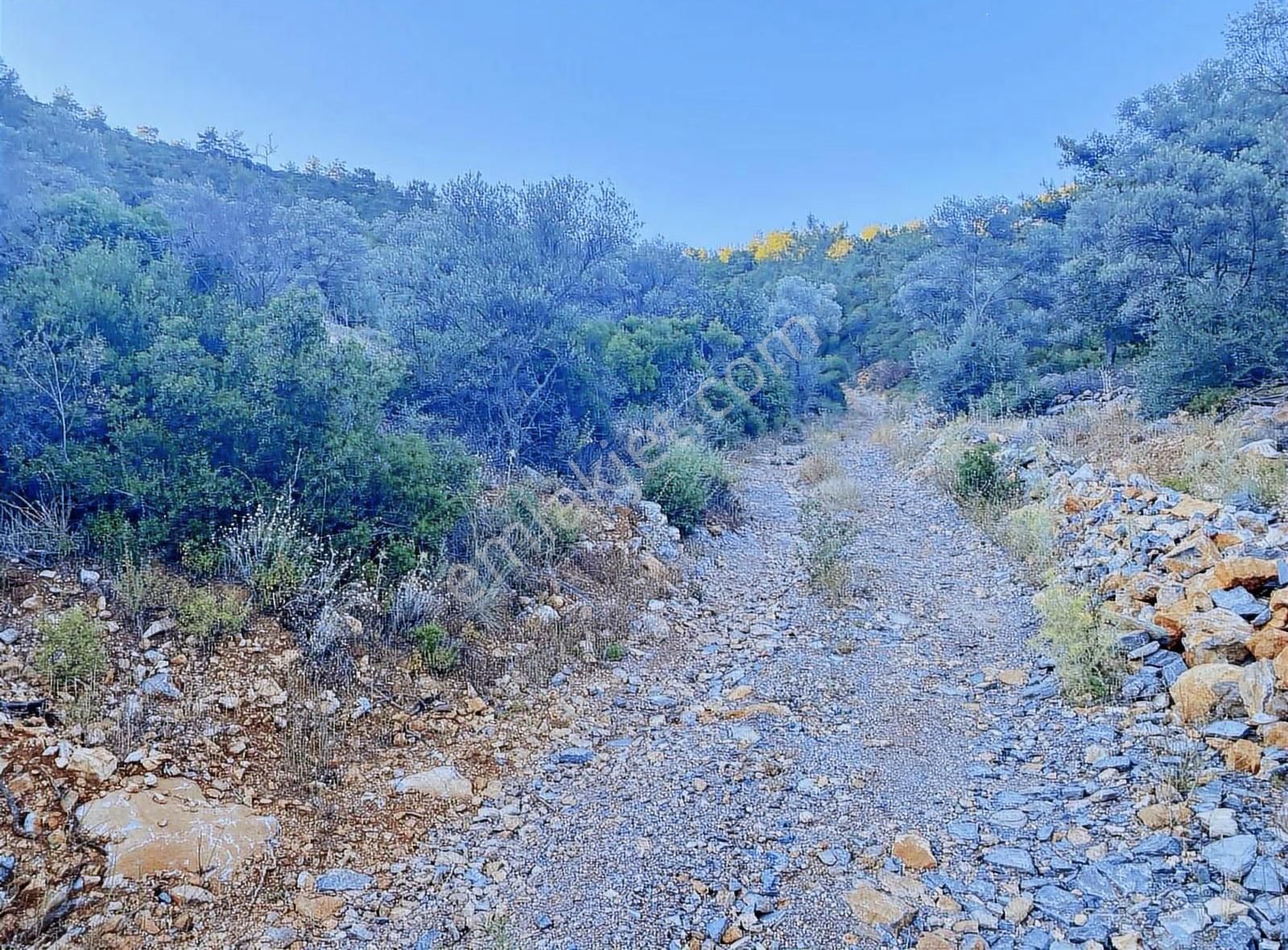 Bodrum Kızılağaç'ta Müstakil Deniz Manzaralı Tarla - Görsel 6