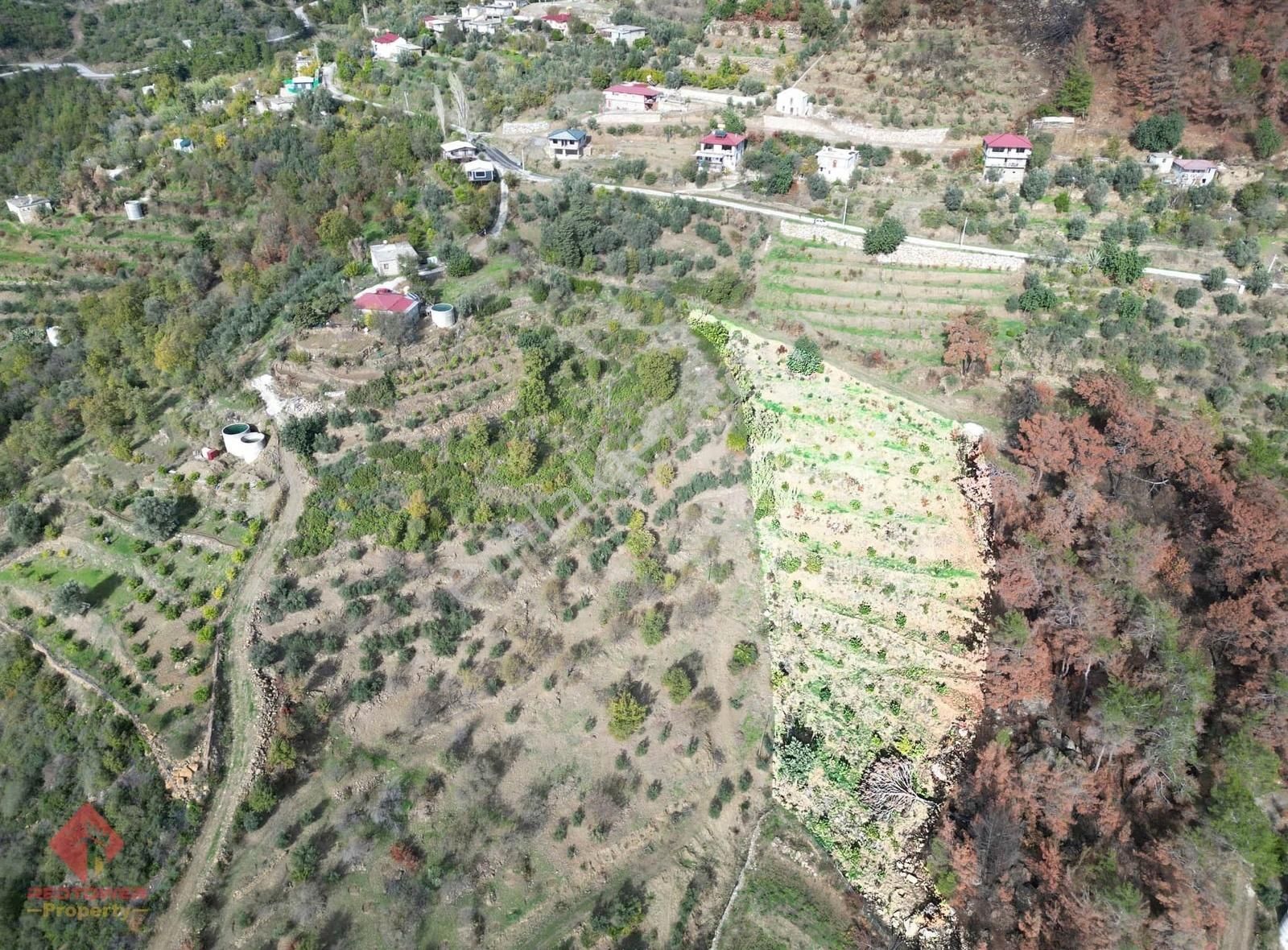 Alanya Şıhlar Köyü Merkezinde 4.460 M2 Satılık Tarla - Görsel 3