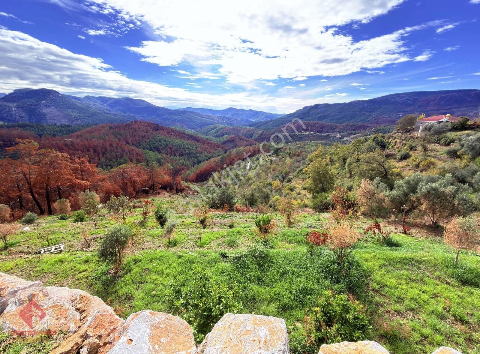 Alanya Şıhlar Köyü Merkezinde 4.460 M2 Satılık Tarla - Görsel 6