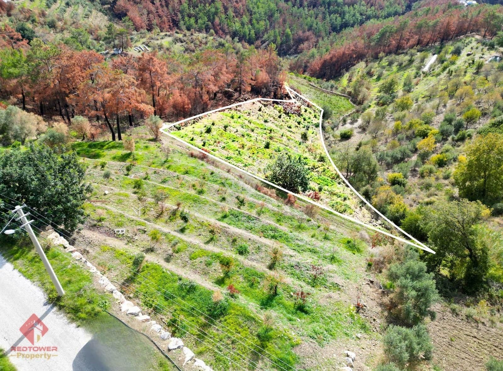 Alanya Şıhlar Köyü Merkezinde 4.460 M2 Satılık Tarla - Görsel 9