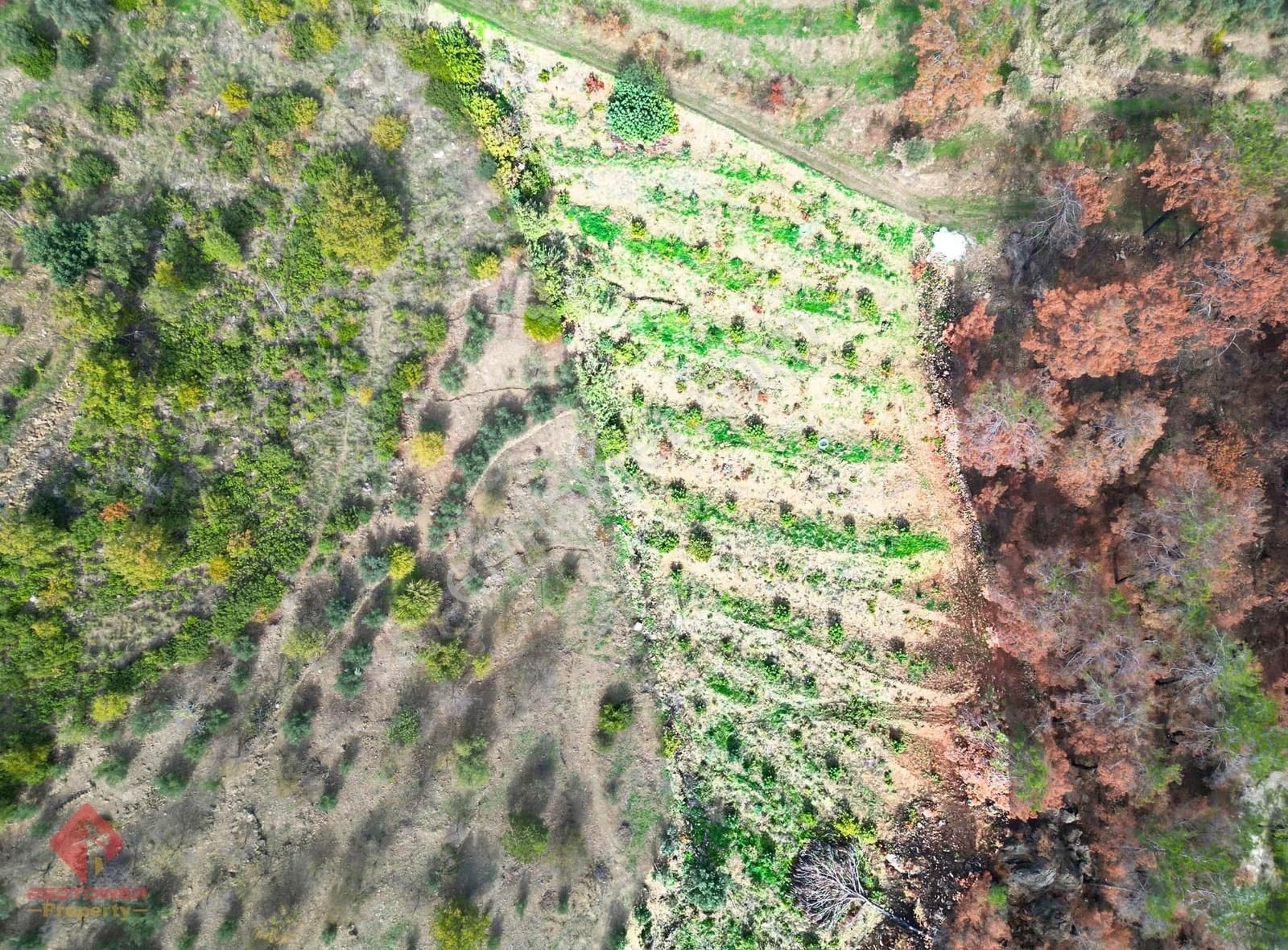 Alanya Şıhlar Köyü Merkezinde 4.460 M2 Satılık Tarla - Görsel 19