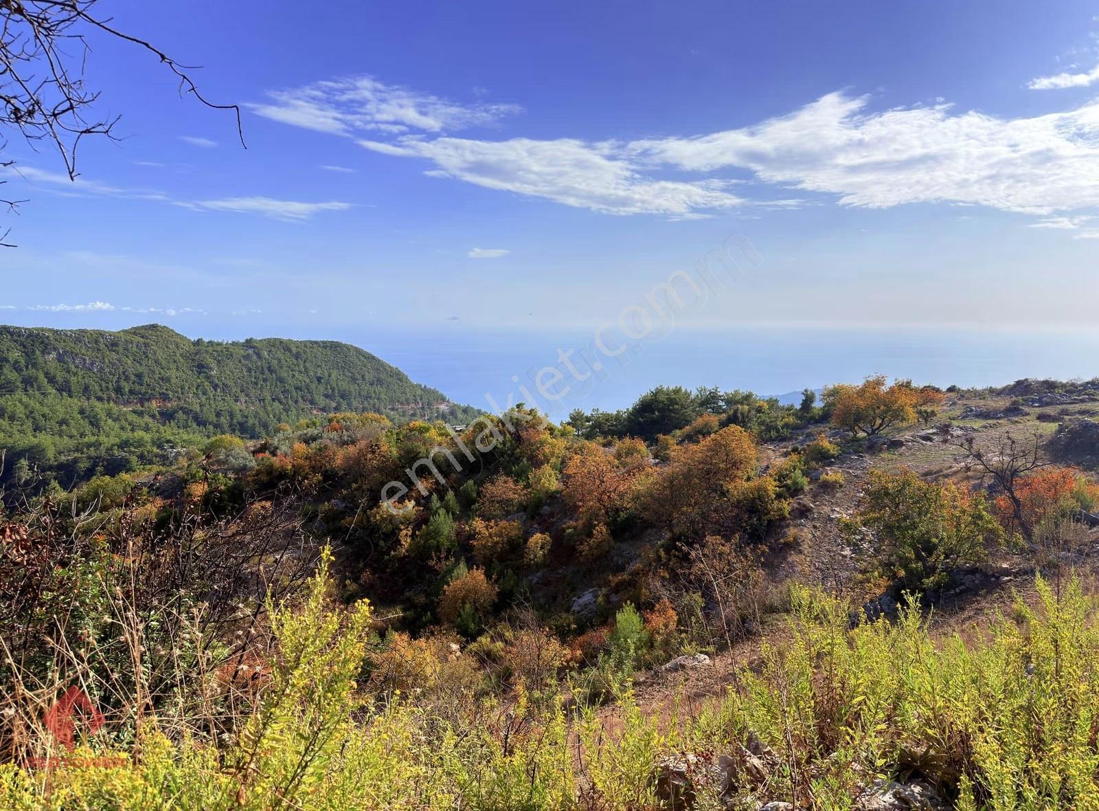 Alanya Bektaş / Alibodalarda Deniz Ve Doğa Manzaralı Arsa - Görsel 32