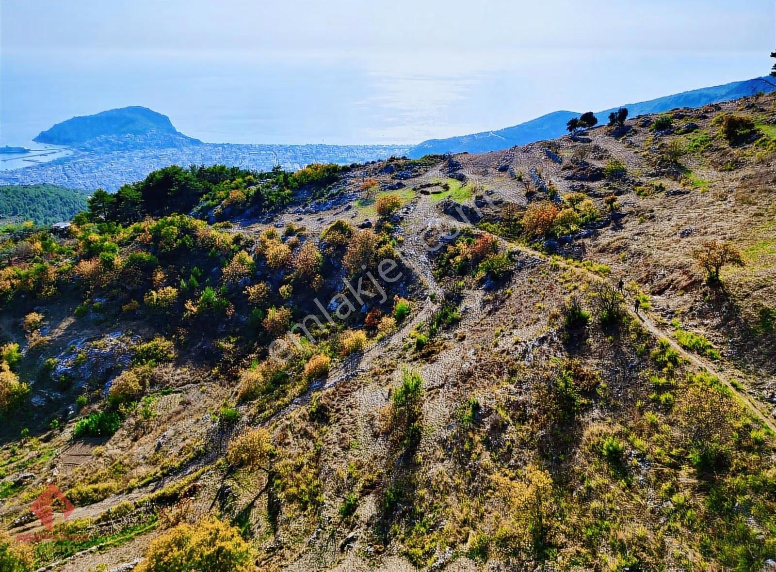 Alanya Bektaş / Alibodalarda Deniz Ve Doğa Manzaralı Arsa - Görsel 9