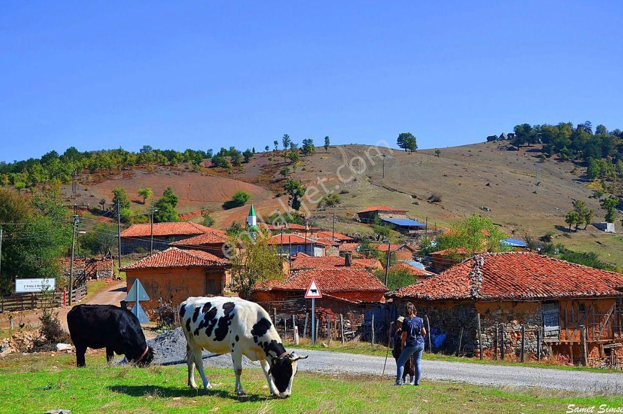 İdenova'dan İznik İhsaniyede Köyiçi İmarlı 340 M² Satılık Arsa - Görsel 11