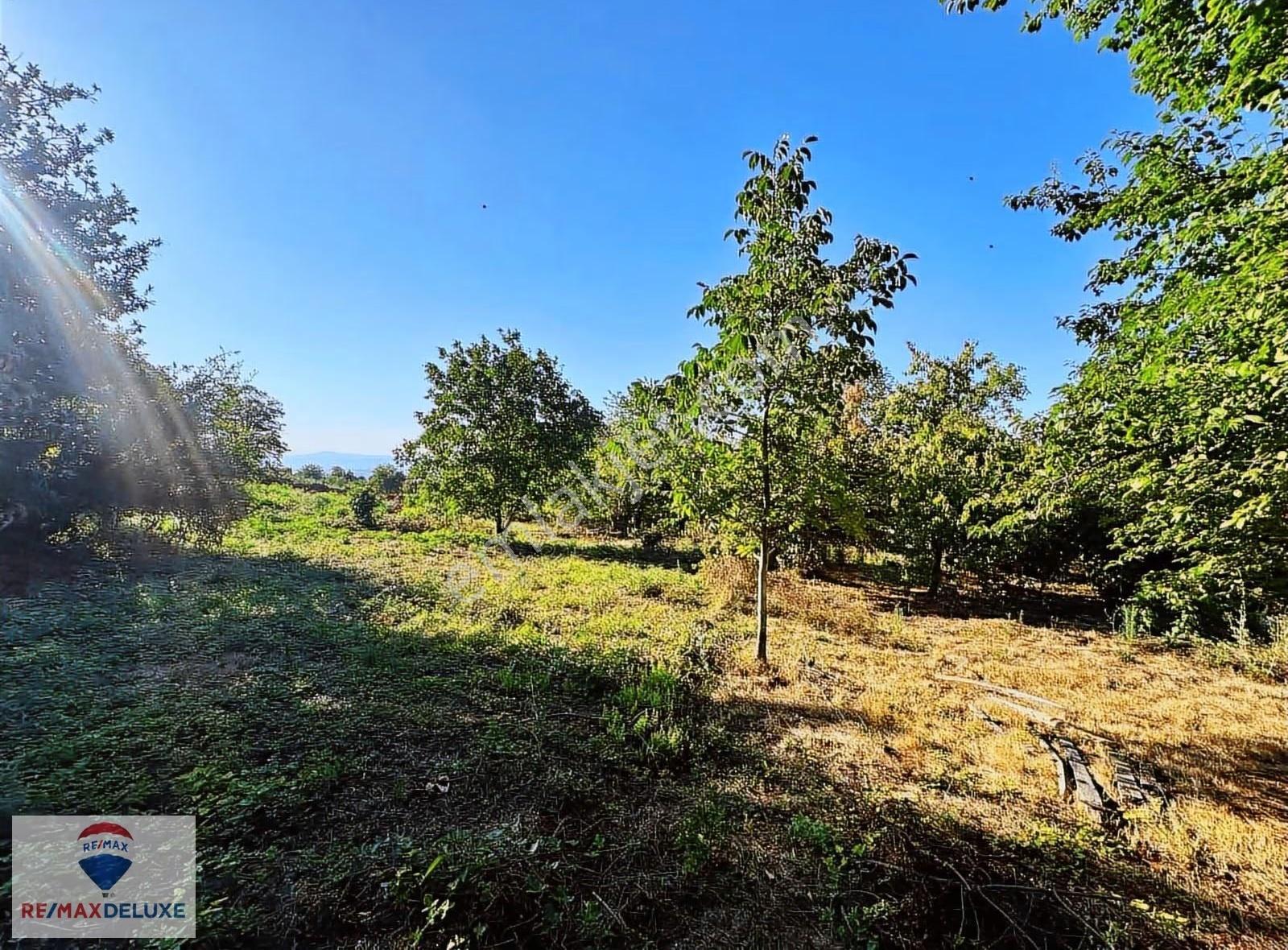 Kartepe Derbent'te Satılık Konut İmarlı Arsa - Görsel 5