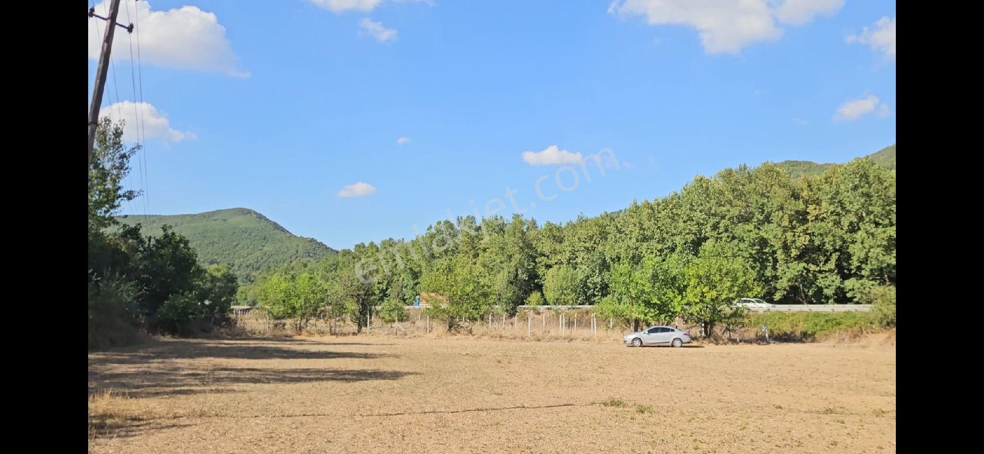 5440 M² Satılık Tarla - Görsel 4