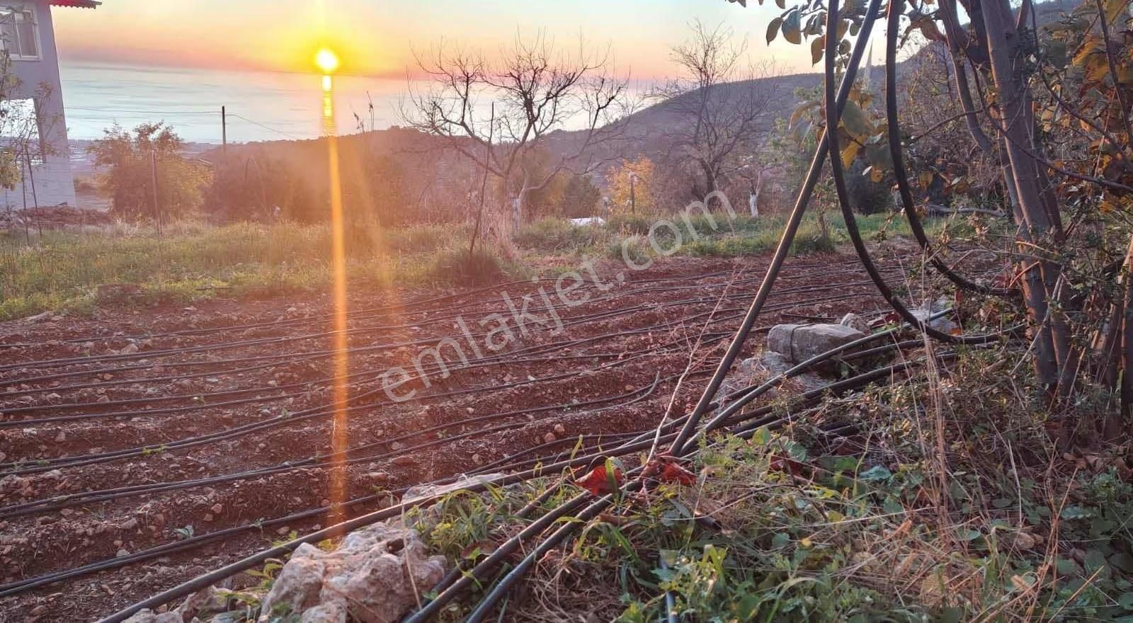 Gözüküçüklüde 1164m2 Satılık Full Deniz Manzaralı Tarla - Görsel 3