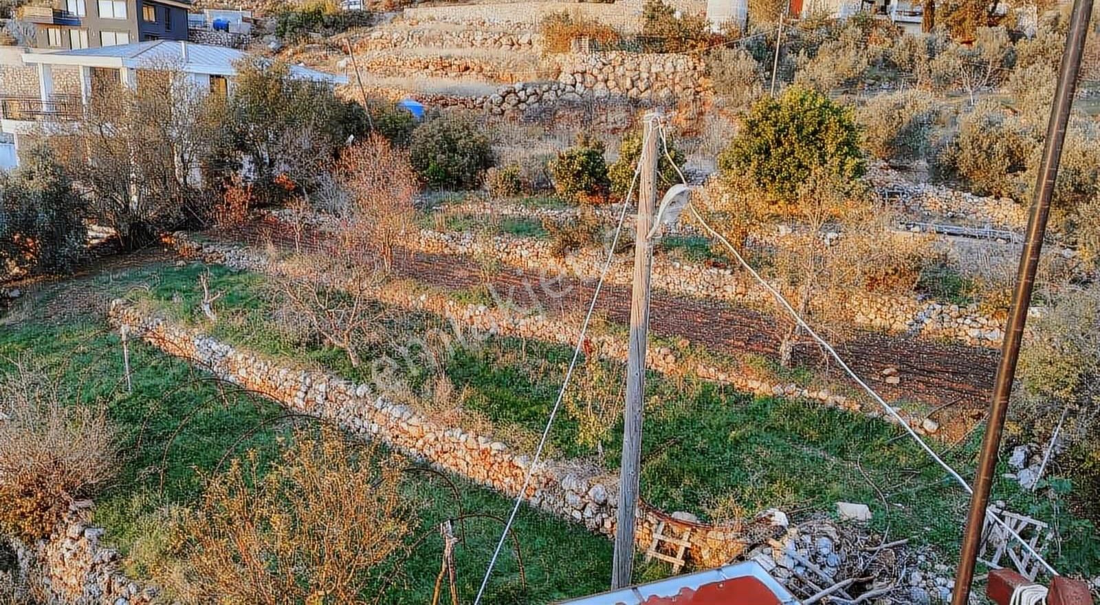 Gözüküçüklüde 1164m2 Satılık Full Deniz Manzaralı Tarla - Görsel 4