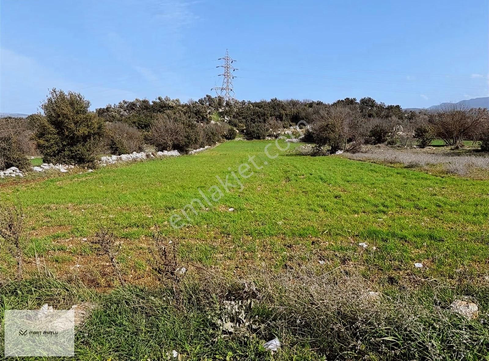 Hasan Göktepe Den Çam Köyde Firsat Arazi - Görsel 5