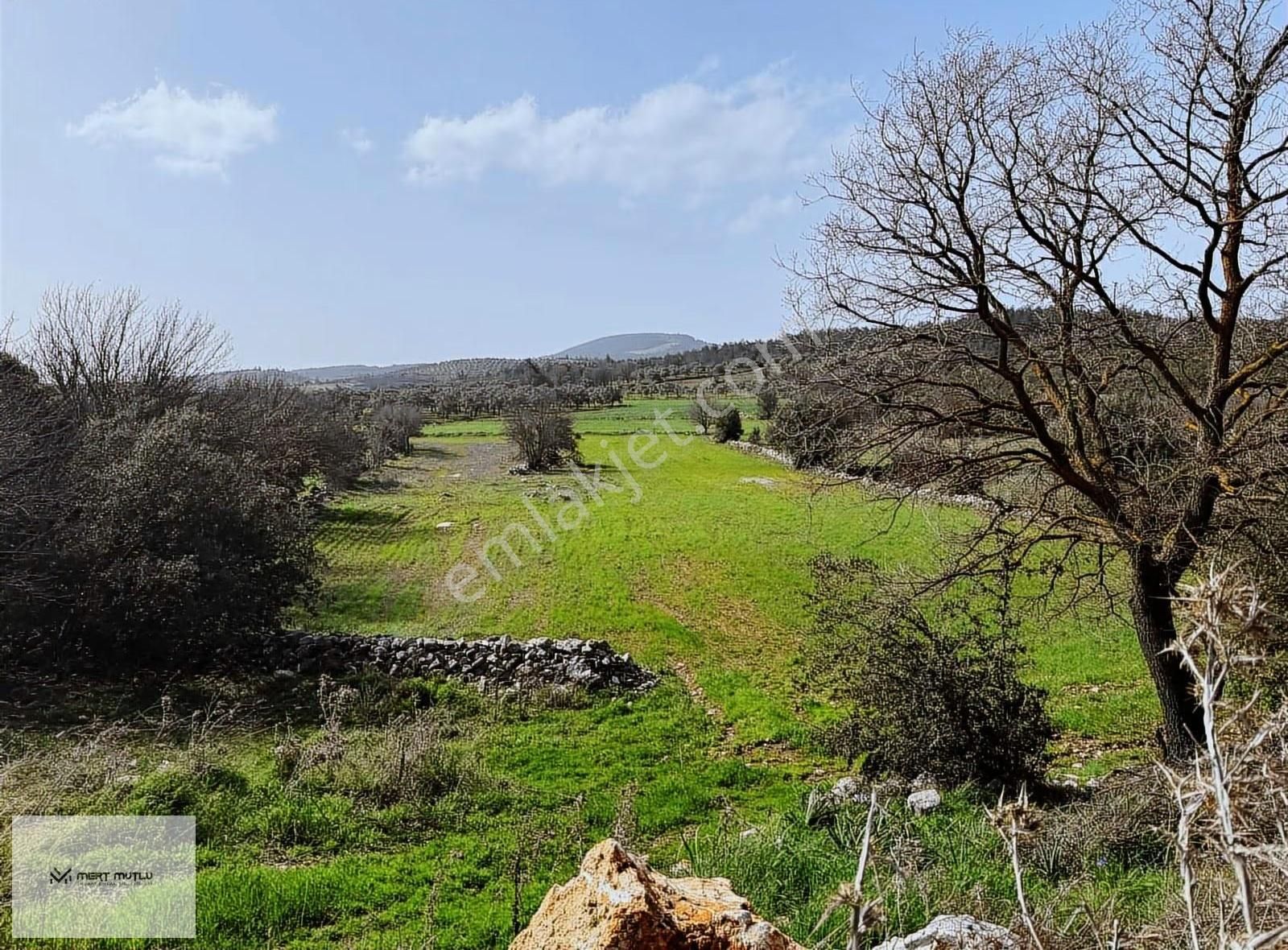 Hasan Göktepe Den Çam Köyde Firsat Arazi - Görsel 7