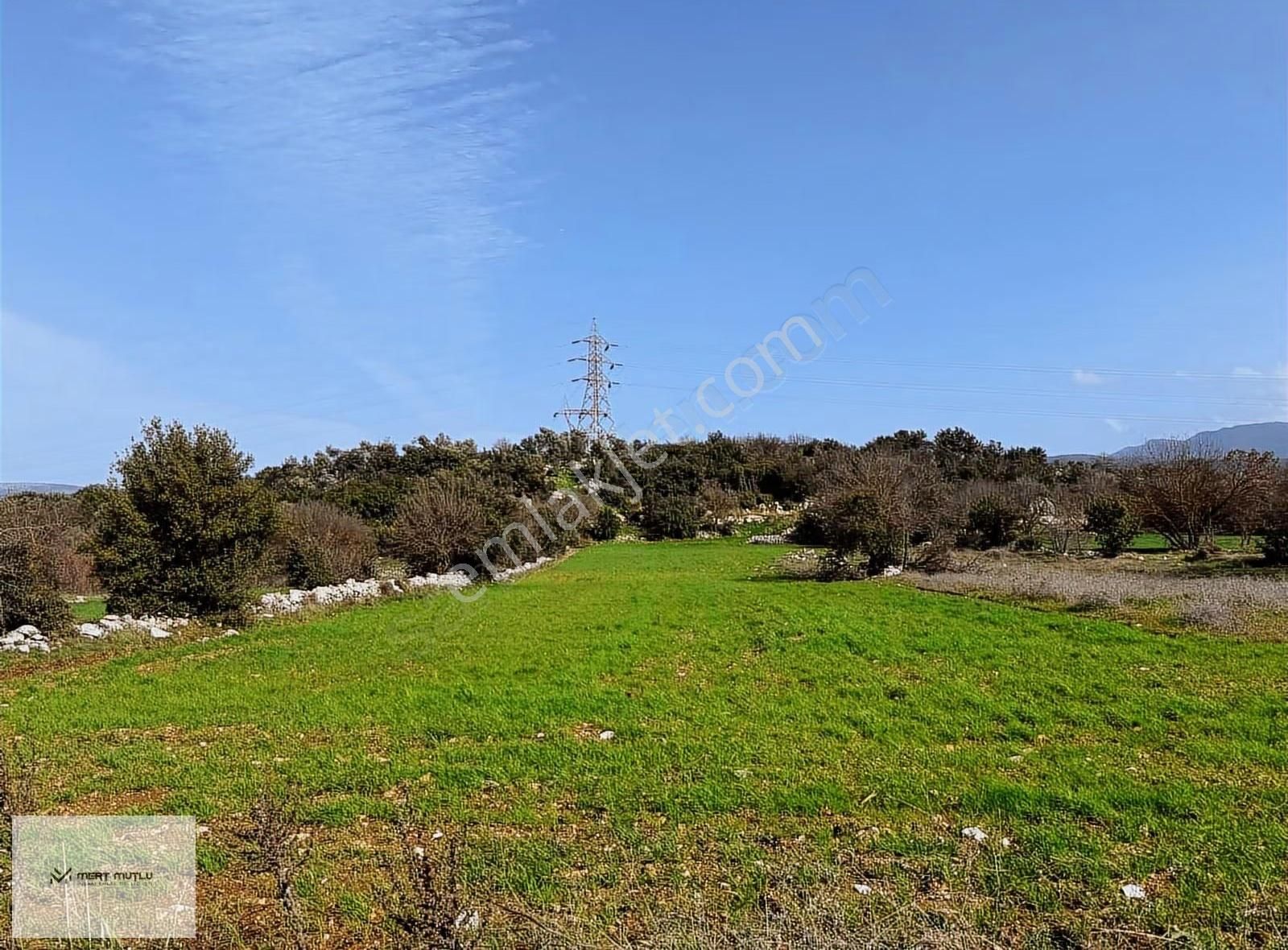 Hasan Göktepe Den Çam Köyde Firsat Arazi - Görsel 4