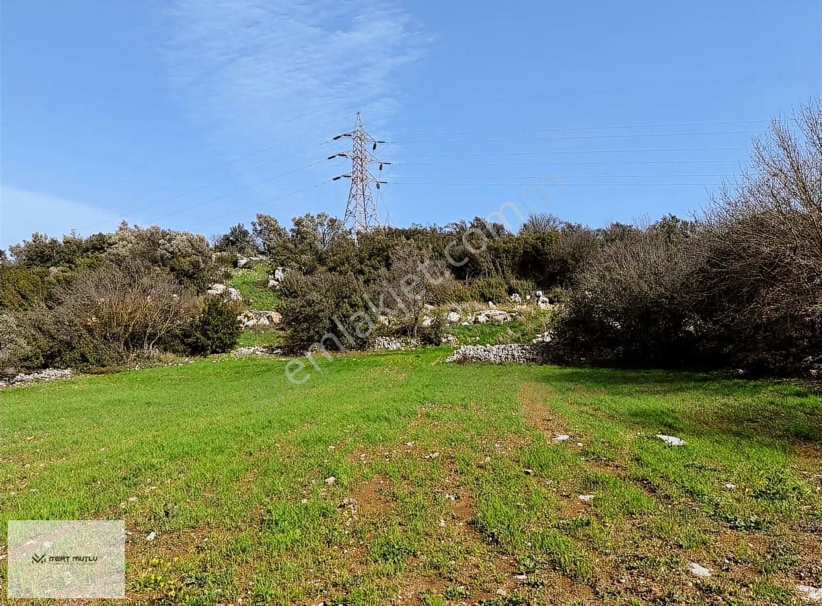 Hasan Göktepe Den Çam Köyde Firsat Arazi - Görsel 2