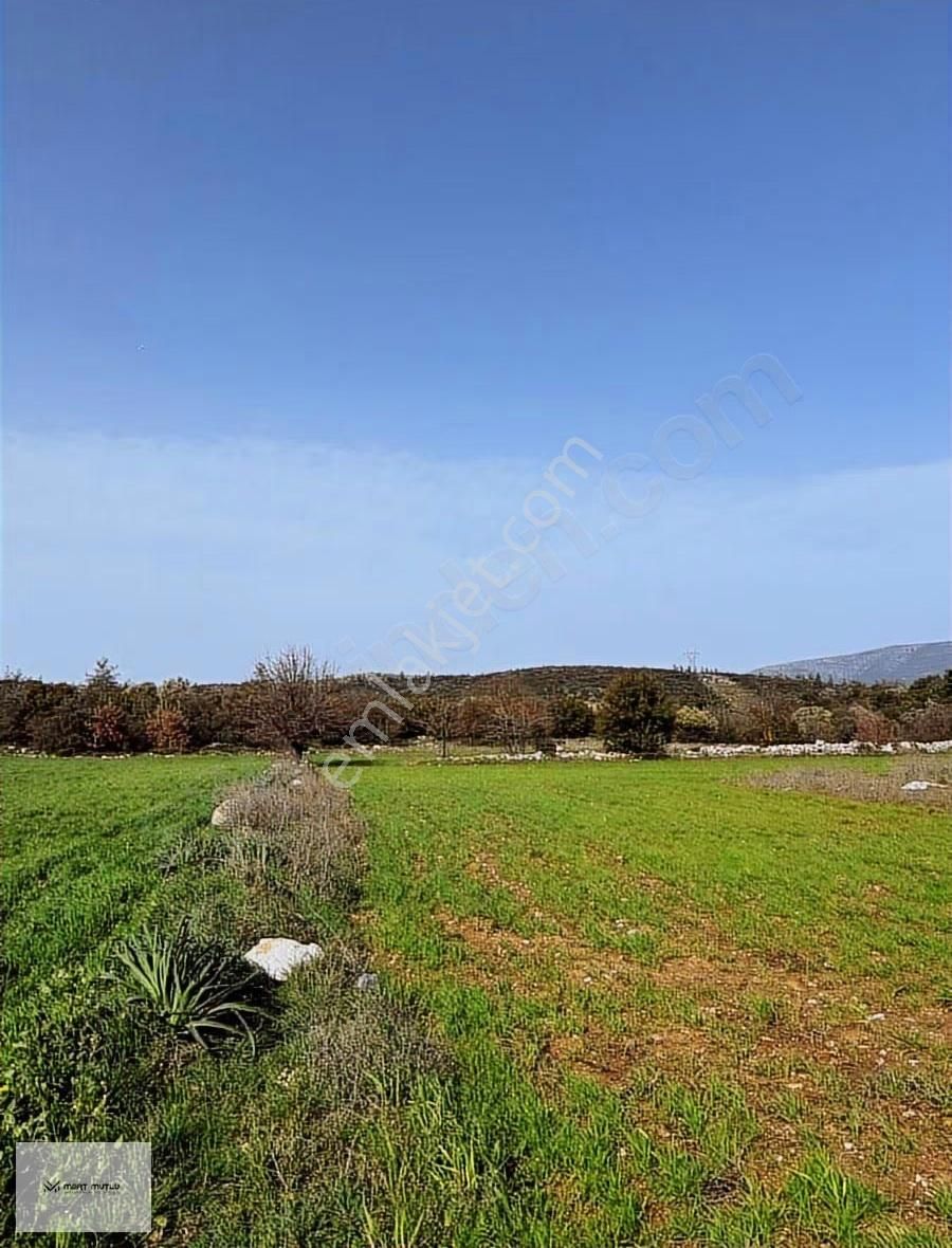 Hasan Göktepe Den Çam Köyde Firsat Arazi - Görsel 6