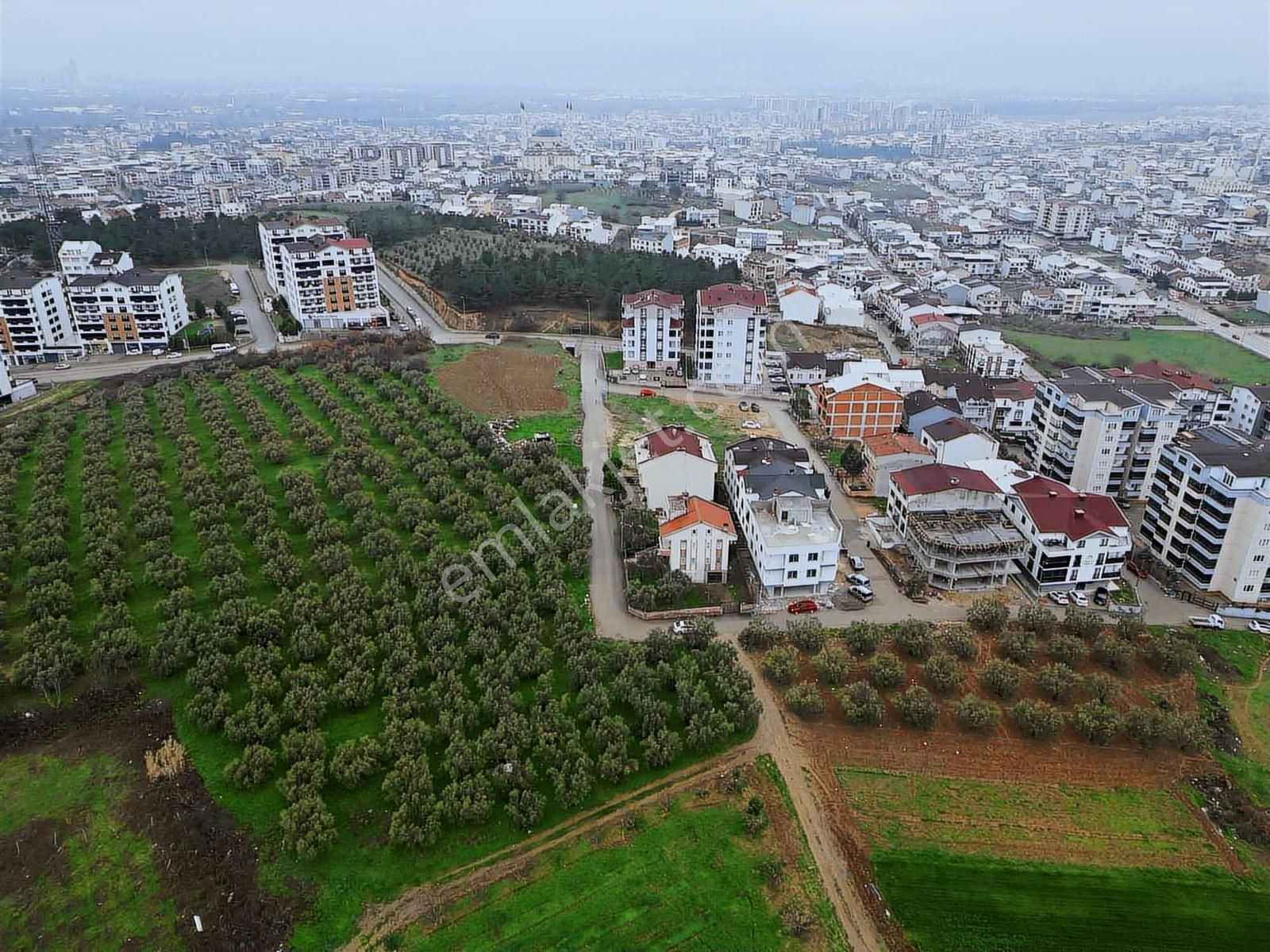 İmar Dibinde Yatırımlık Fırsat Tarla - Görsel 6