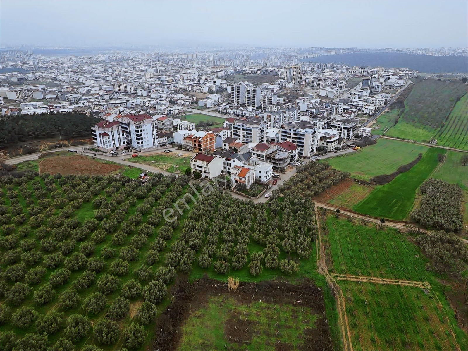 İmar Dibinde Yatırımlık Fırsat Tarla - Görsel 3
