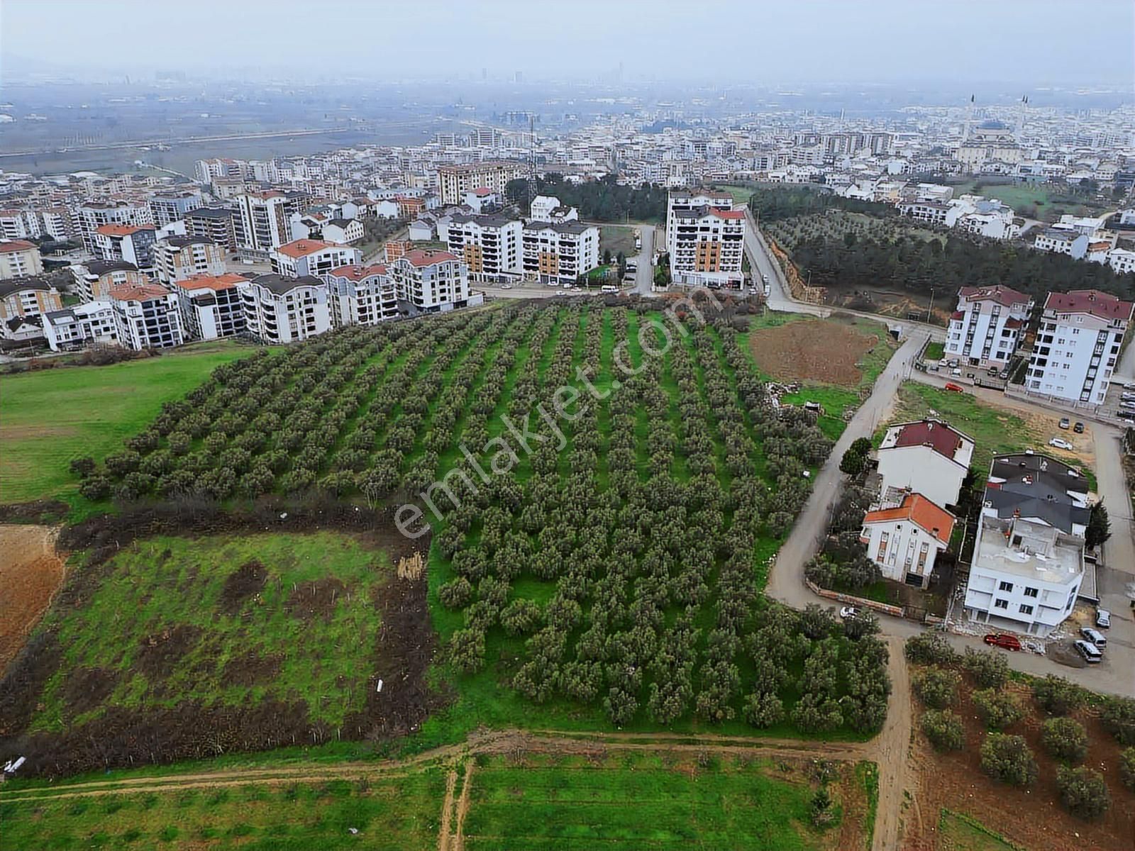 İmar Dibinde Yatırımlık Fırsat Tarla - Görsel 8