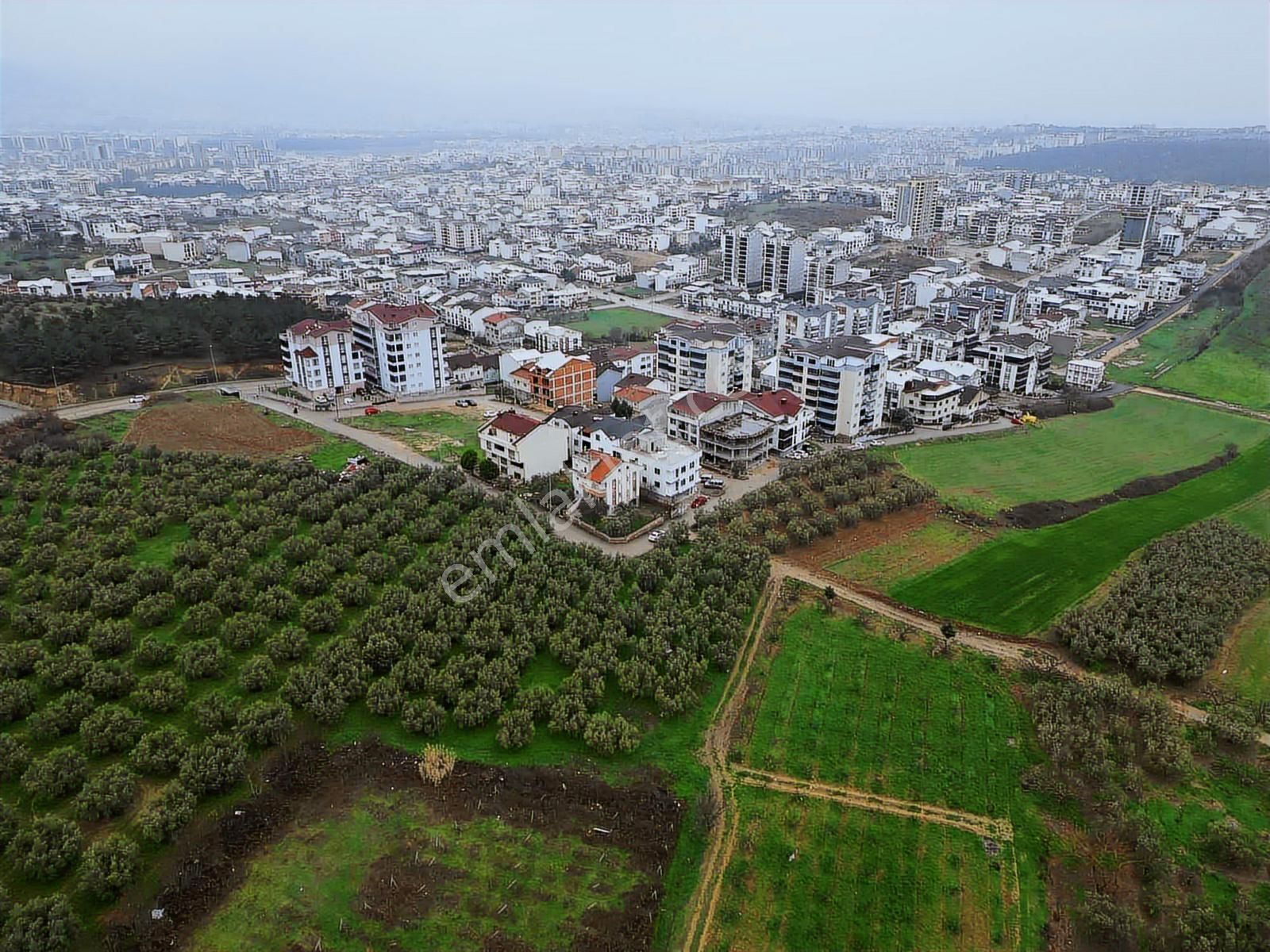 İmar Dibinde Yatırımlık Fırsat Tarla