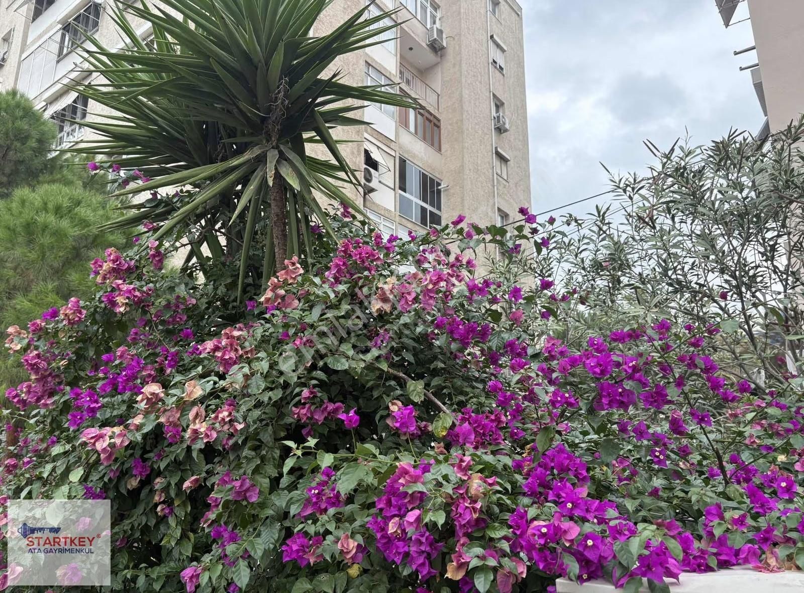 Bornova'da Merkezi Konumda Geniş Ferah Daire - Görsel 20