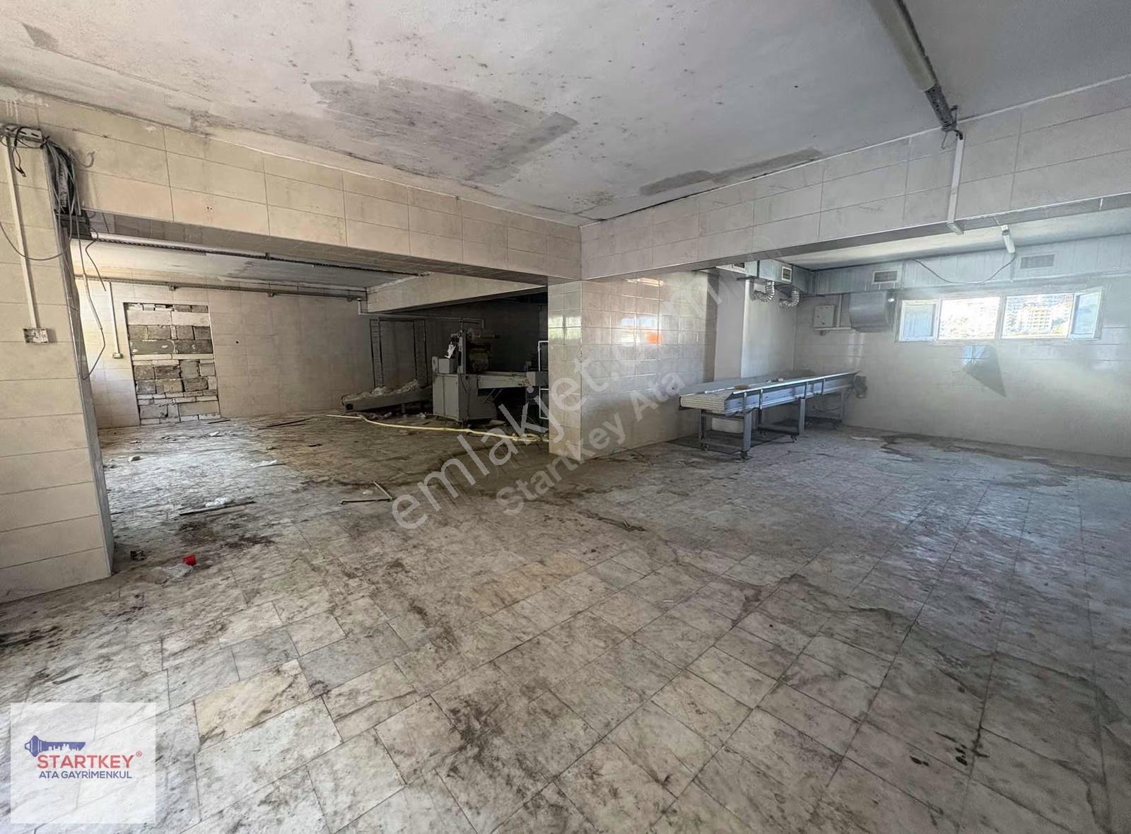 Kuşadası'nda Satılık Birleştirilmiş 3 Dükkan Fırın Ruhsatlı - Görsel 5