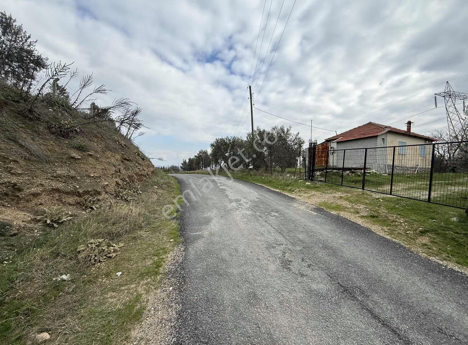 Yatırımlık Asfalt Yola Cepheli 26500 M2 Satılık Zeytinlik - Görsel 11