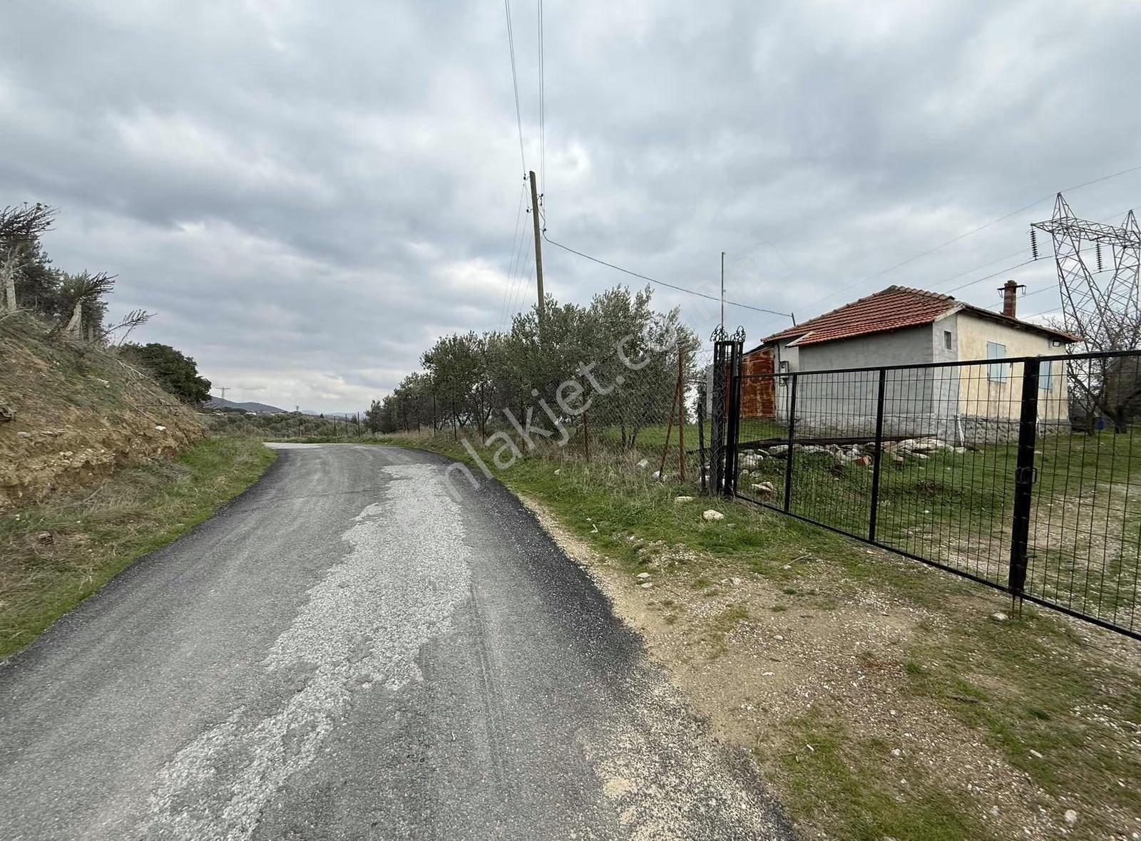 Yatırımlık Asfalt Yola Cepheli 26500 M2 Satılık Zeytinlik - Görsel 17