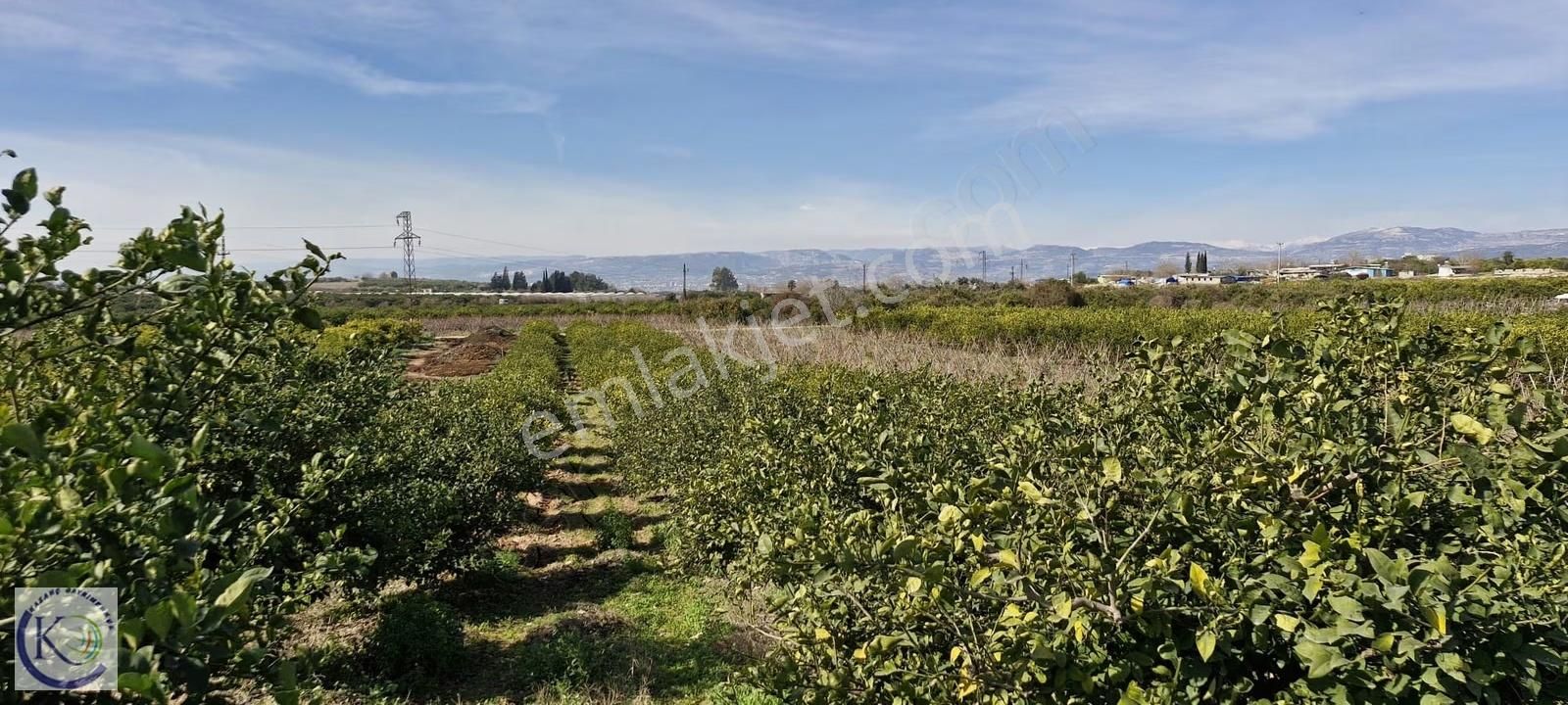 Yakaköy Hayvan Pazarı Civarı İmar Planı İçerisinde Satılık Arsa - Görsel 8
