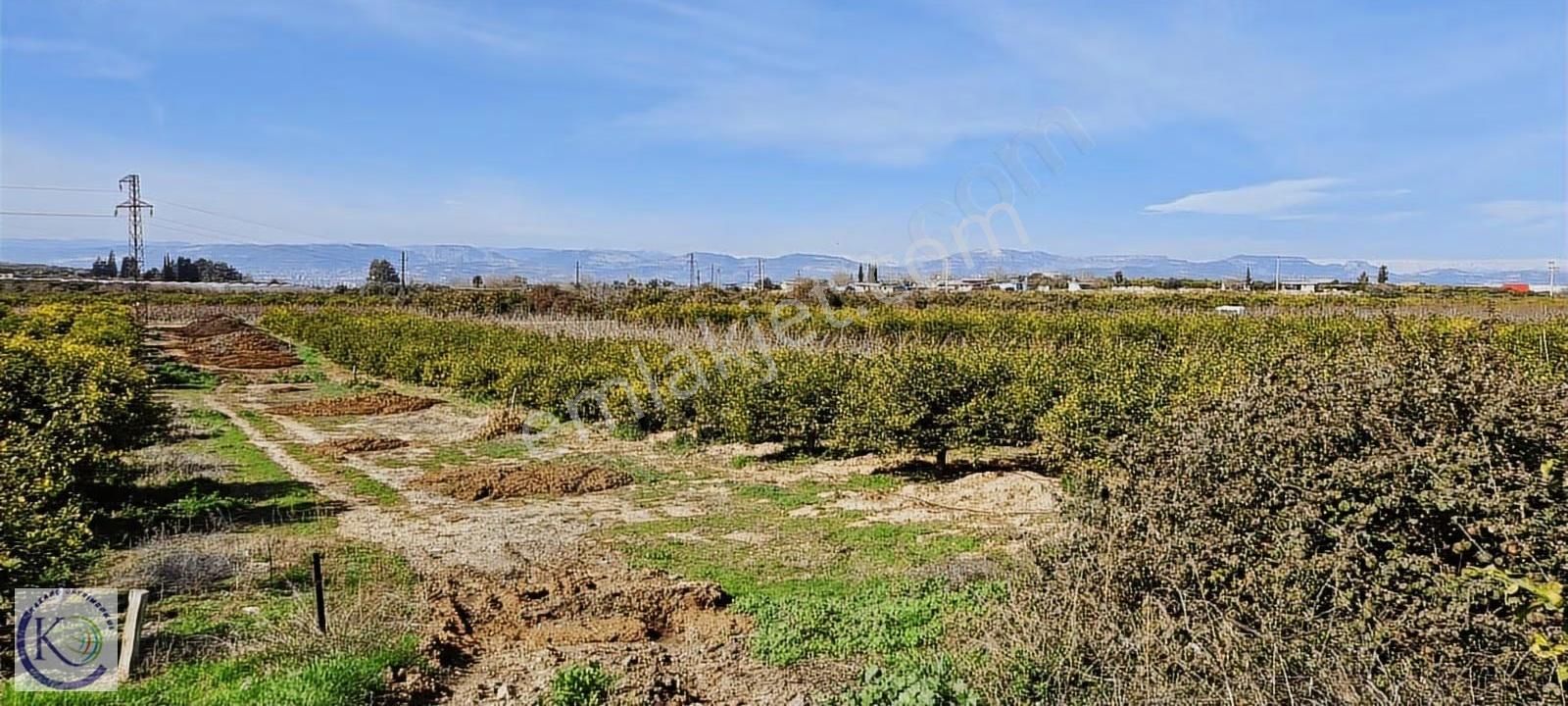 Yakaköy Hayvan Pazarı Civarı İmar Planı İçerisinde Satılık Arsa - Görsel 12