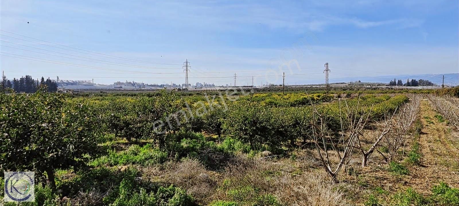 Yakaköy Hayvan Pazarı Civarı İmar Planı İçerisinde Satılık Arsa - Görsel 9