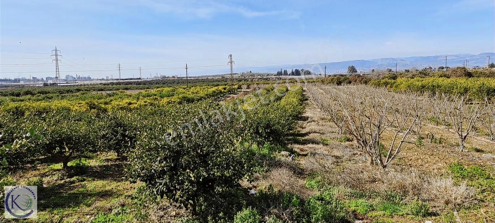 Yakaköy Hayvan Pazarı Civarı İmar Planı İçerisinde Satılık Arsa - Görsel 7