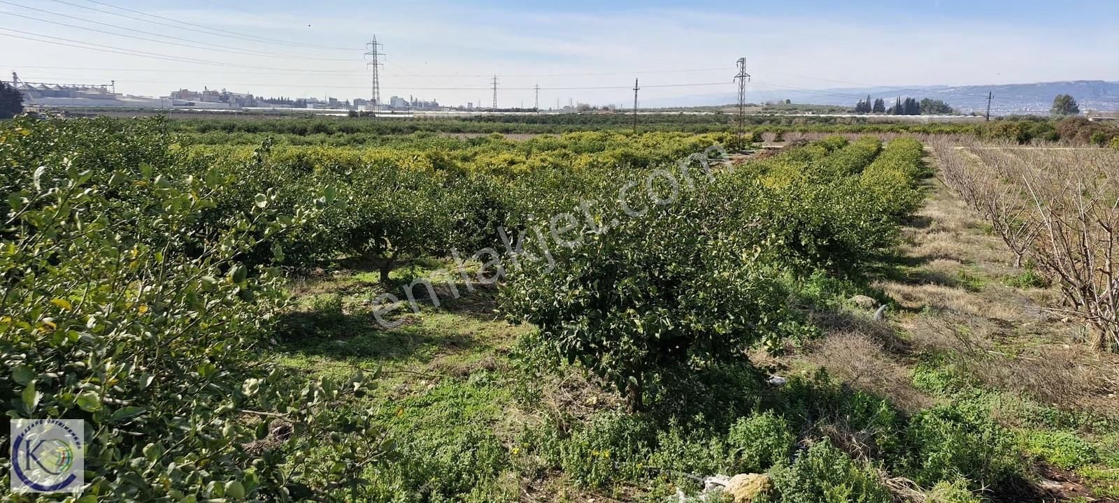 Yakaköy Hayvan Pazarı Civarı İmar Planı İçerisinde Satılık Arsa - Görsel 6