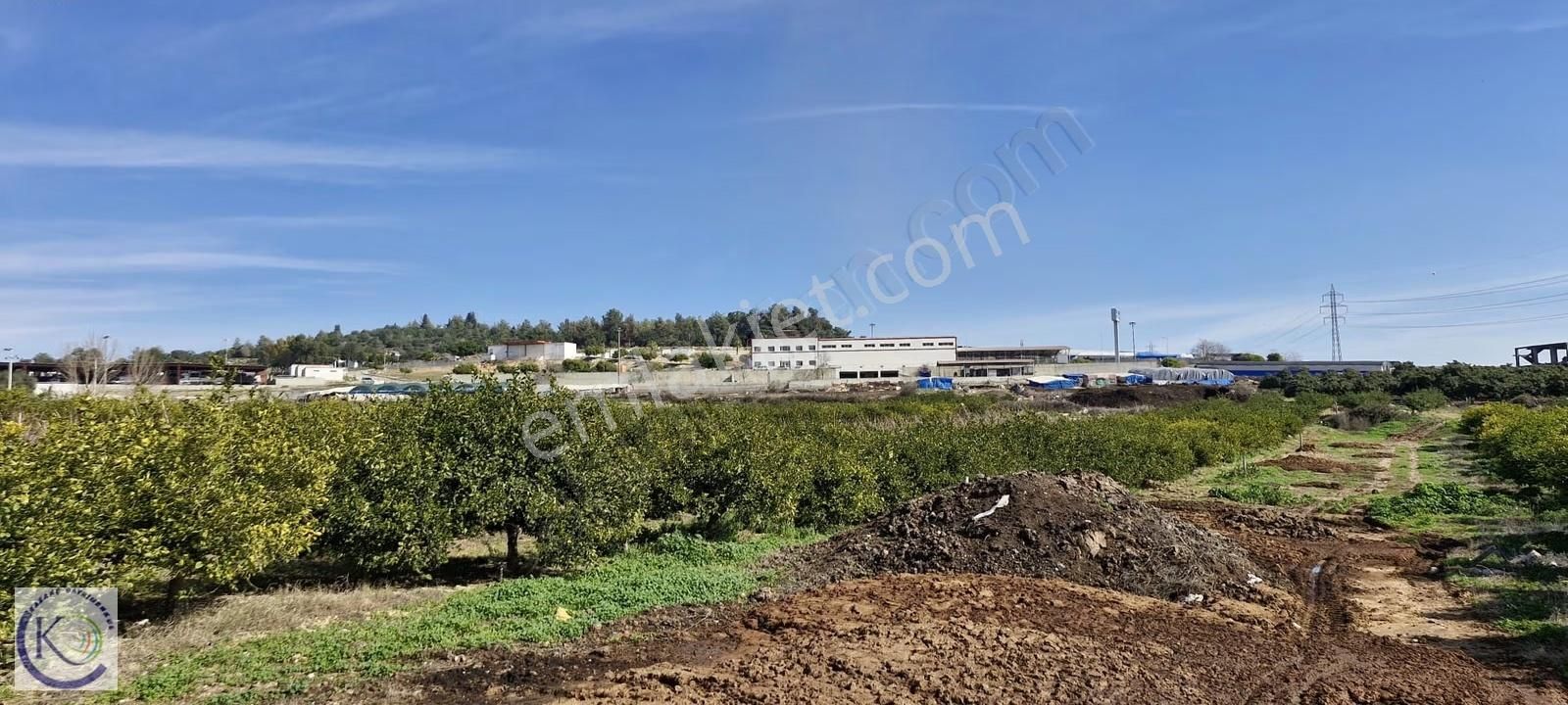 Yakaköy Hayvan Pazarı Civarı İmar Planı İçerisinde Satılık Arsa