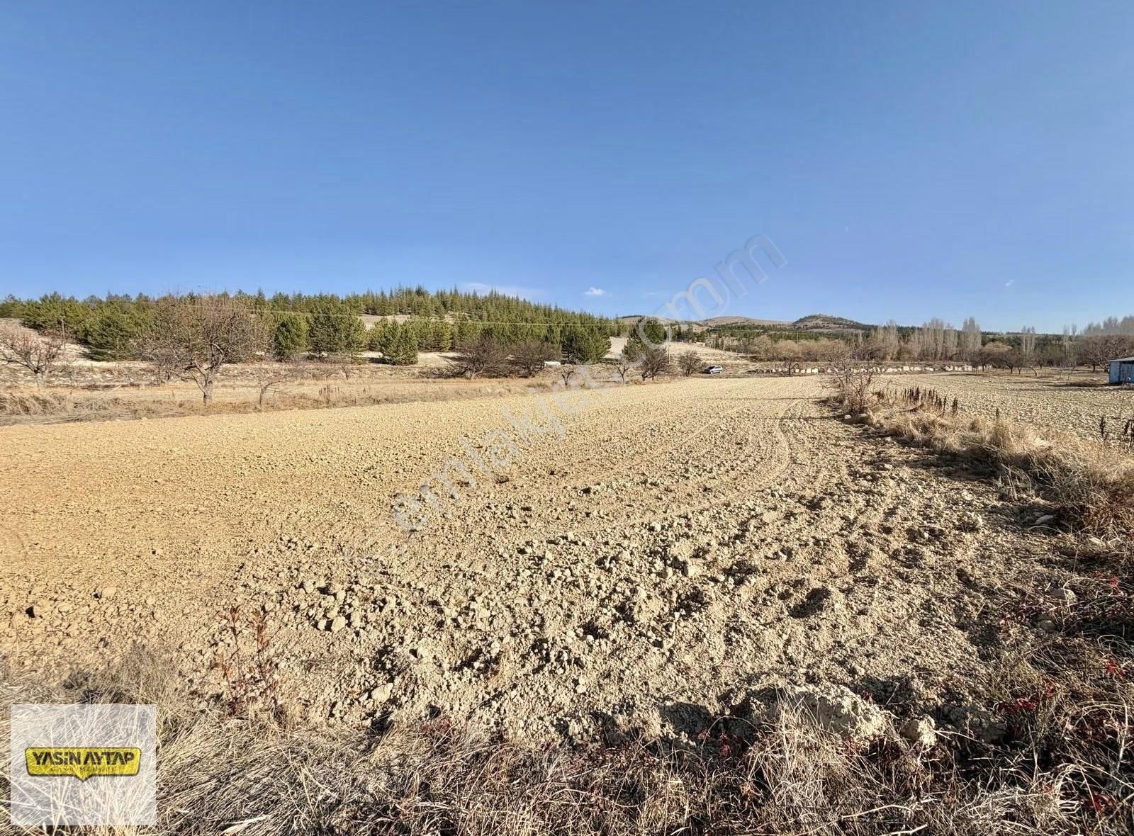 Yasin Aytap'tan Küçükmuhsine De 2.508m² Müstakil Tapulu Parsel - Görsel 6
