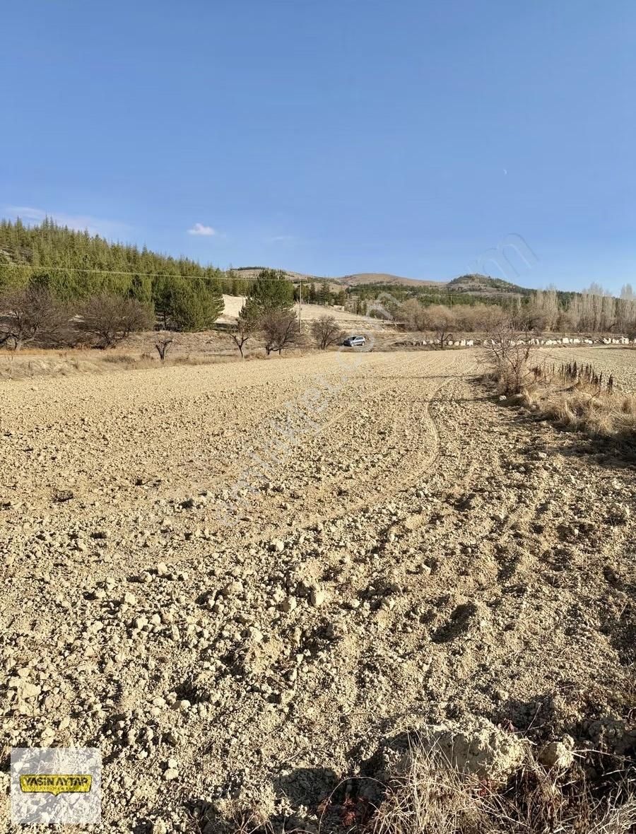 Yasin Aytap'tan Küçükmuhsine De 2.508m² Müstakil Tapulu Parsel - Görsel 5