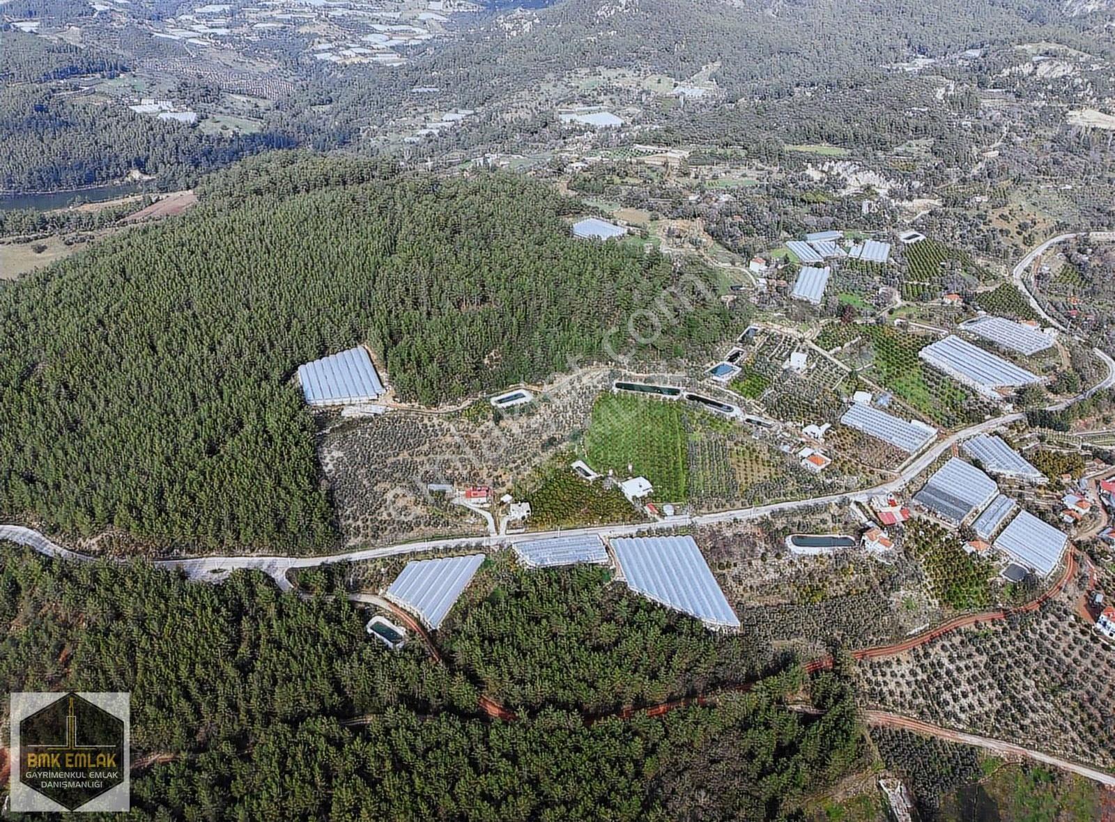 Bmk'dan Erentepe'de Satılık Zeytinlik & Meyve Bahçesi - Görsel 31