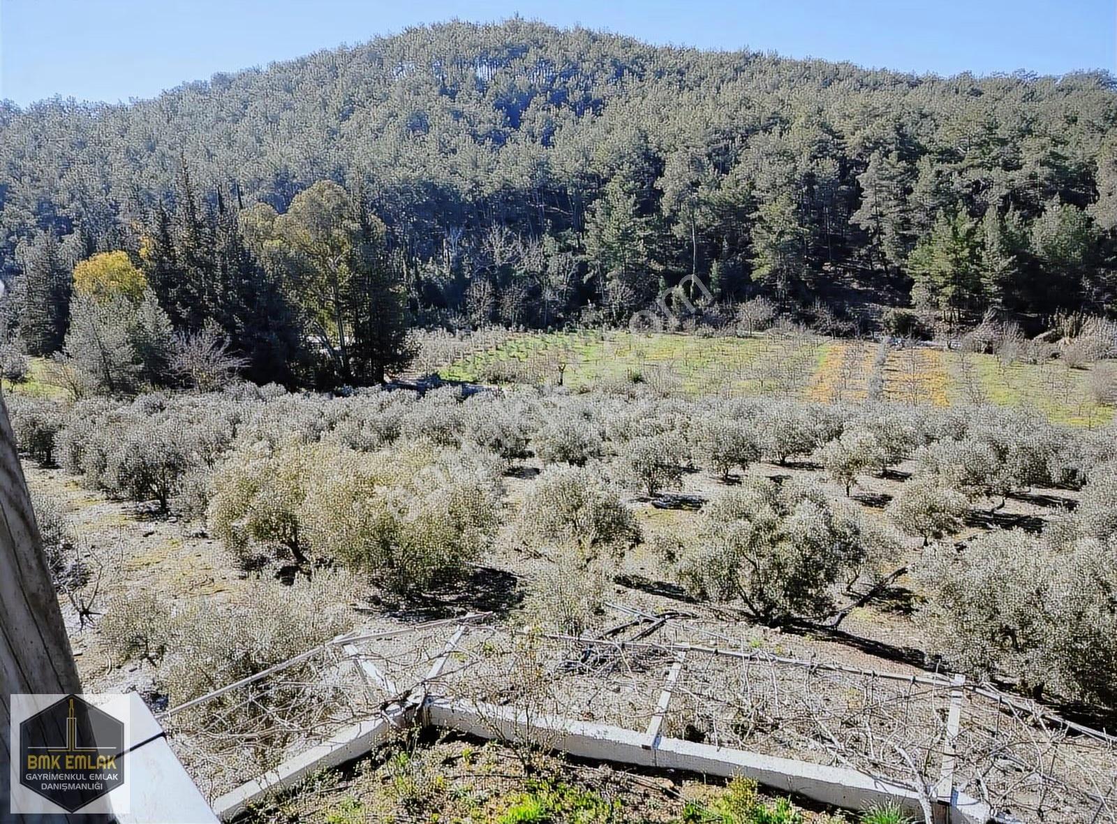 Bmk'dan Antalya Kumluca Erentepe'de Satılık Çiftlik & Lüks Villa - Görsel 16