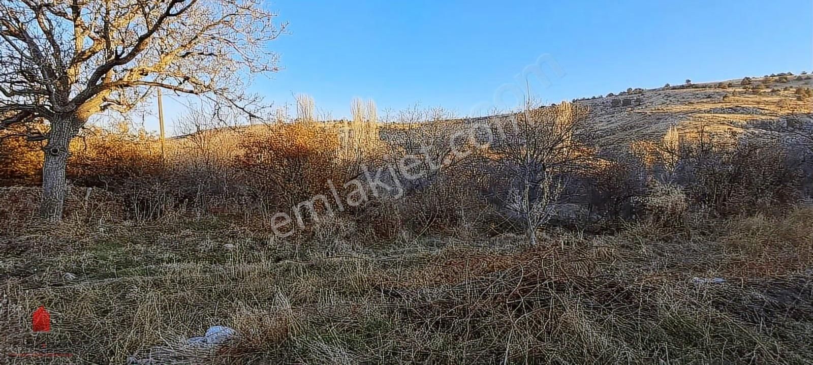 Karadiğinderesinde Köy İçinde 222m2 Satılık Bahçe Yeri - Görsel 21