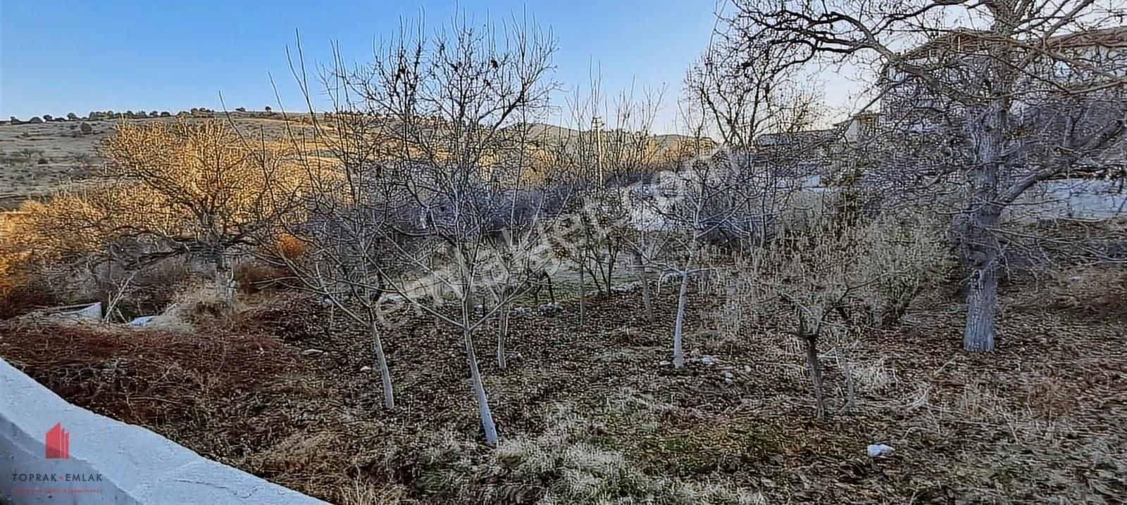 Karadiğinderesinde Köy İçinde 222m2 Satılık Bahçe Yeri - Görsel 15