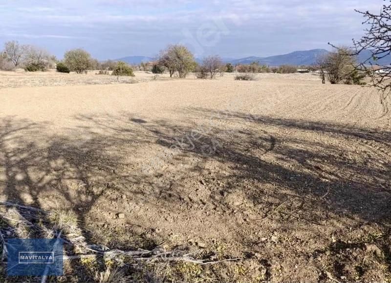 Çomaklı'da Köyün İçinde Satılık 1406 M2 Tek İmzalı Tarla - Görsel 2