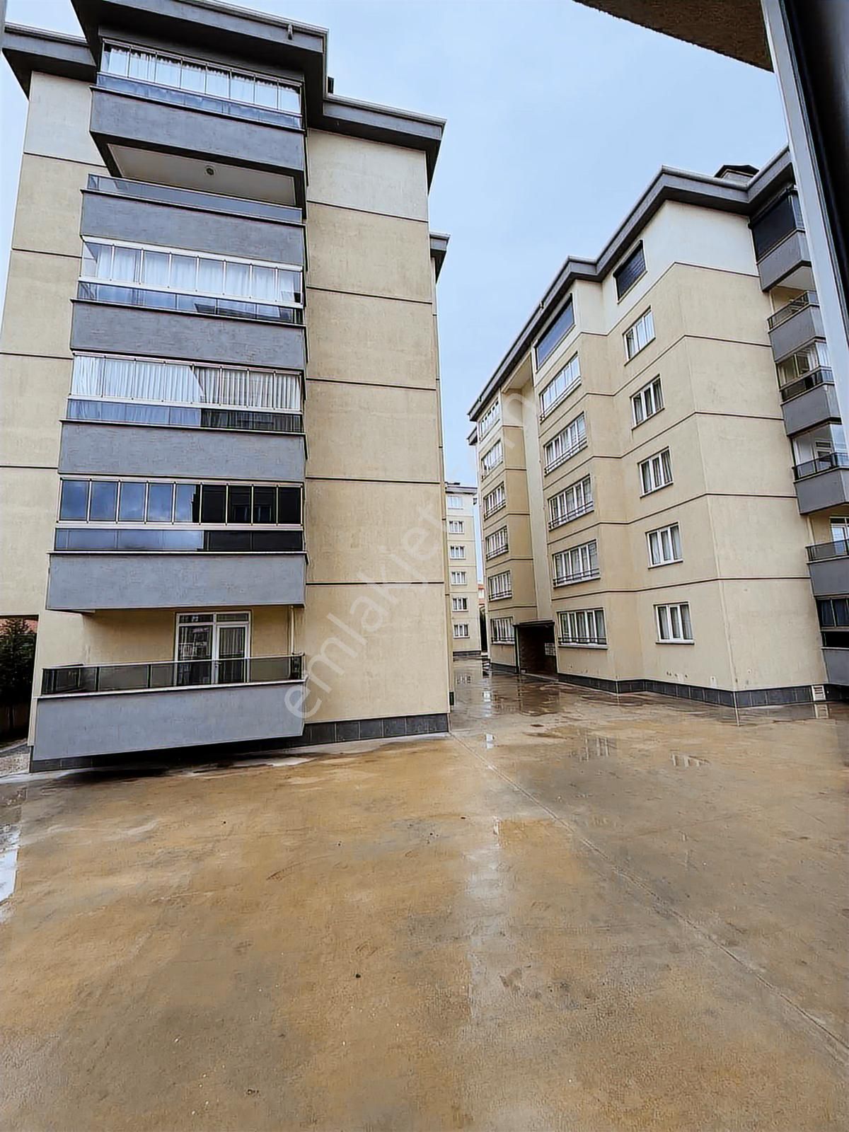 Net Emlaktan Mengenede 3+1 Kiralık Daire