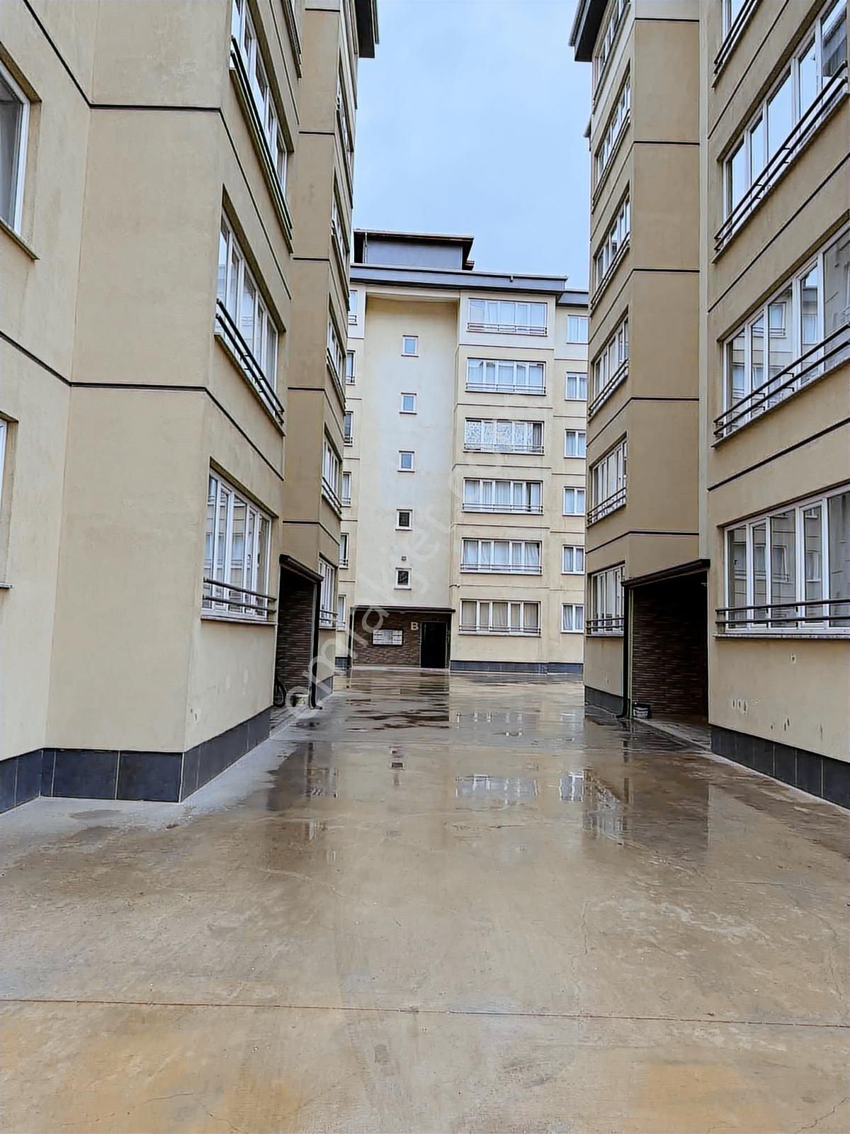 Net Emlaktan Mengenede 3+1 Kiralık Daire - Görsel 13